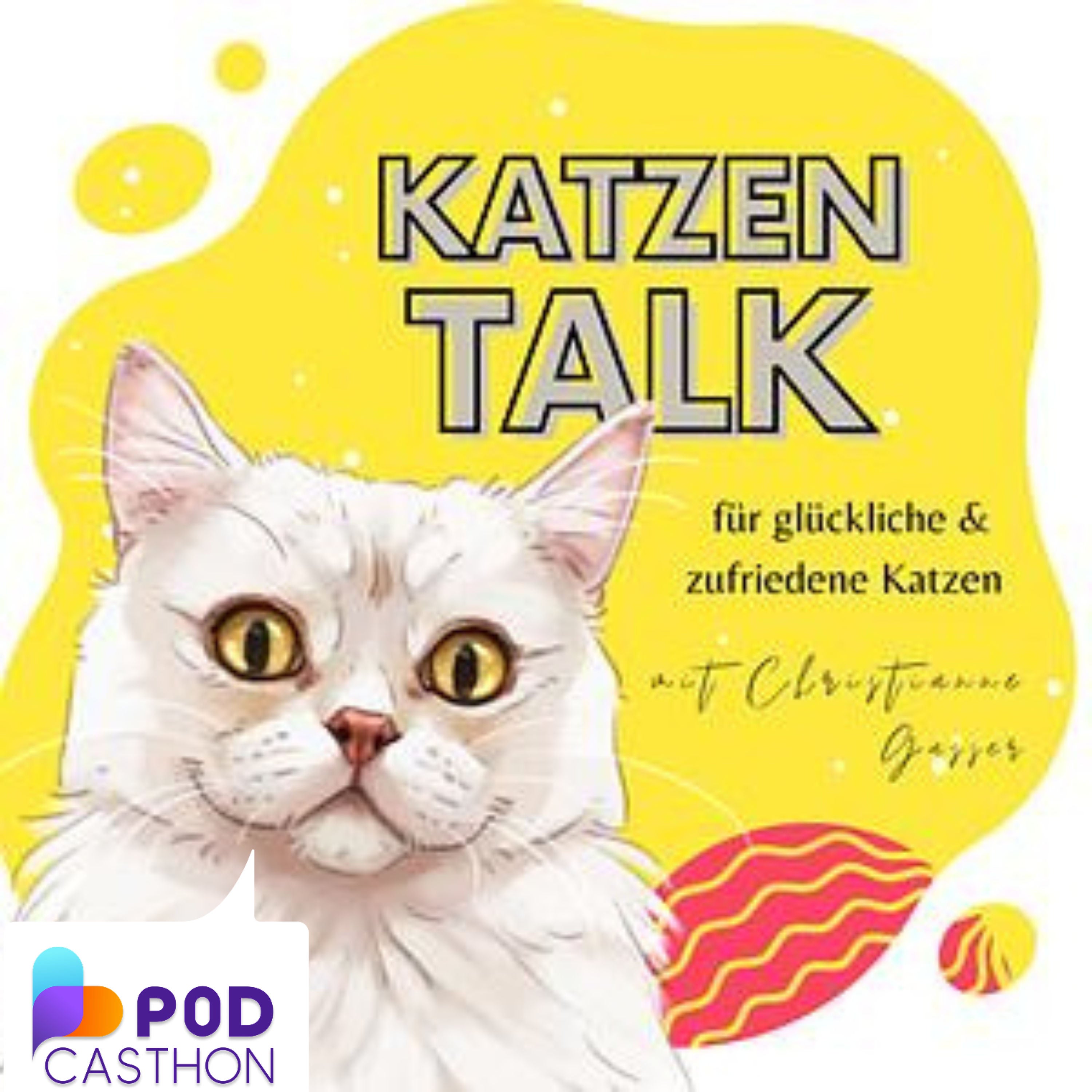 Der Start Button: Deine Katze entscheidet mit