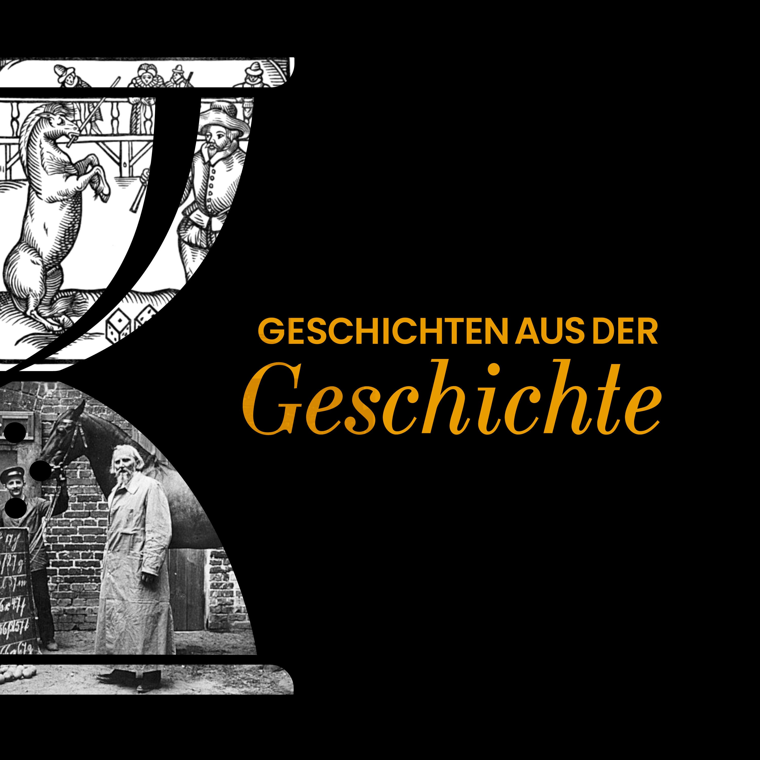 GAG373: Morocco und der Kluge Hans