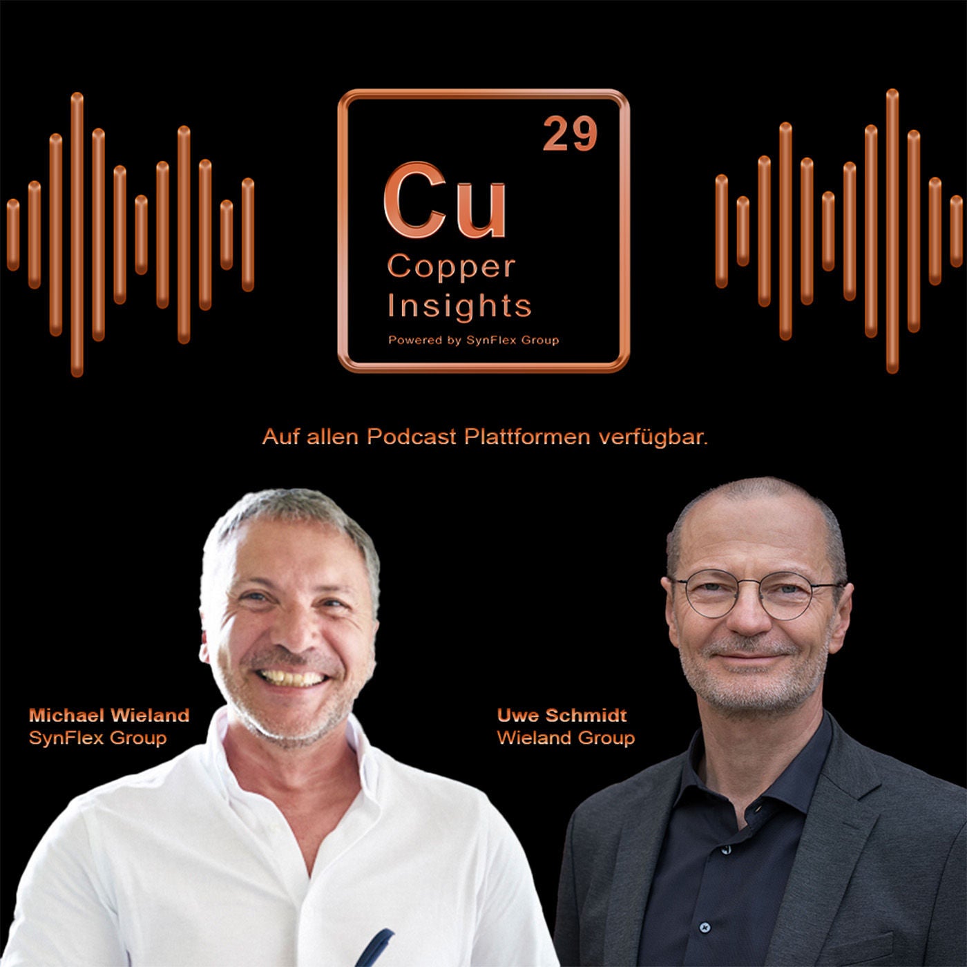 Uwe Schmidt - SVP Global Metals Management Wieland Group