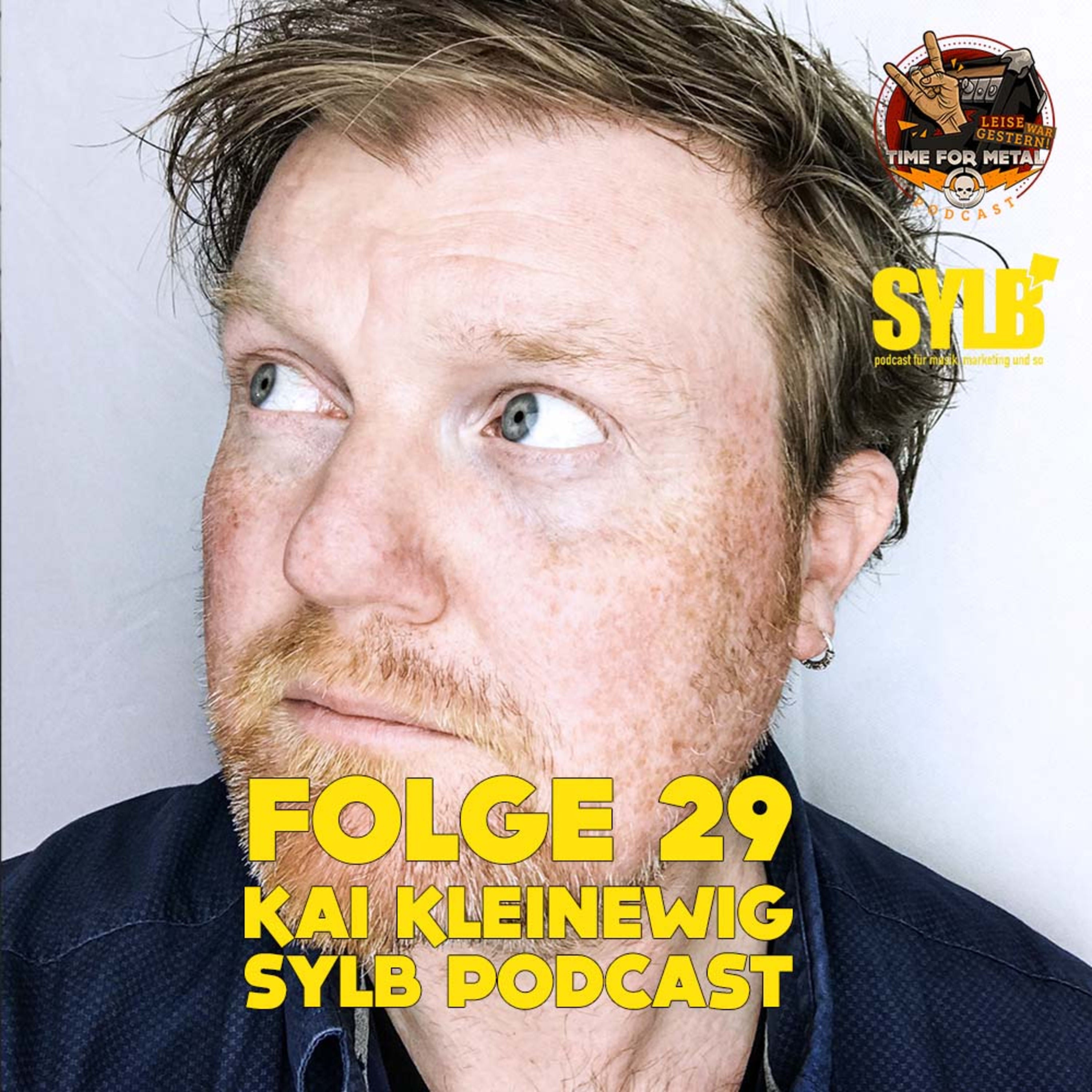 Folge 29 - SYLB - DIY Marketing für Bands mit Kai Kleinewig
