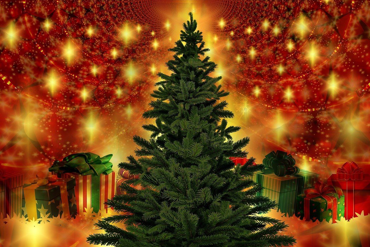 Sägen, Schlagen oder verzichten ? Weihnachtsbäume