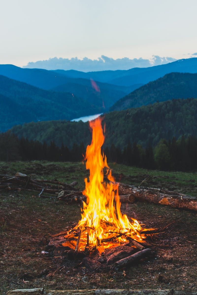Wie kommunizieren Feuer, Wasser, Luft und Erde? Das Modell der elementaren Kommunikationstypen