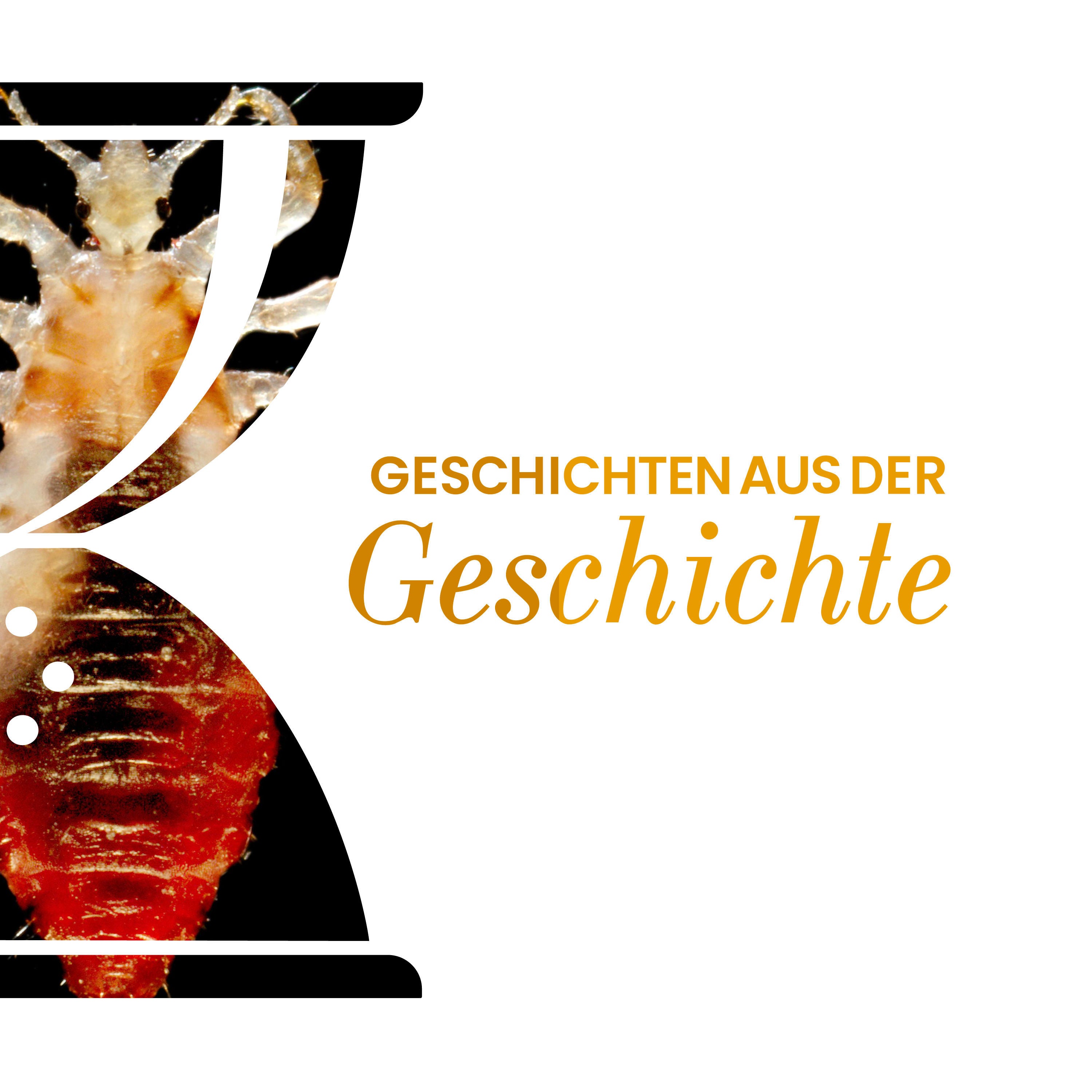 GAG374: Ludwik Fleck und das Fleckfieber