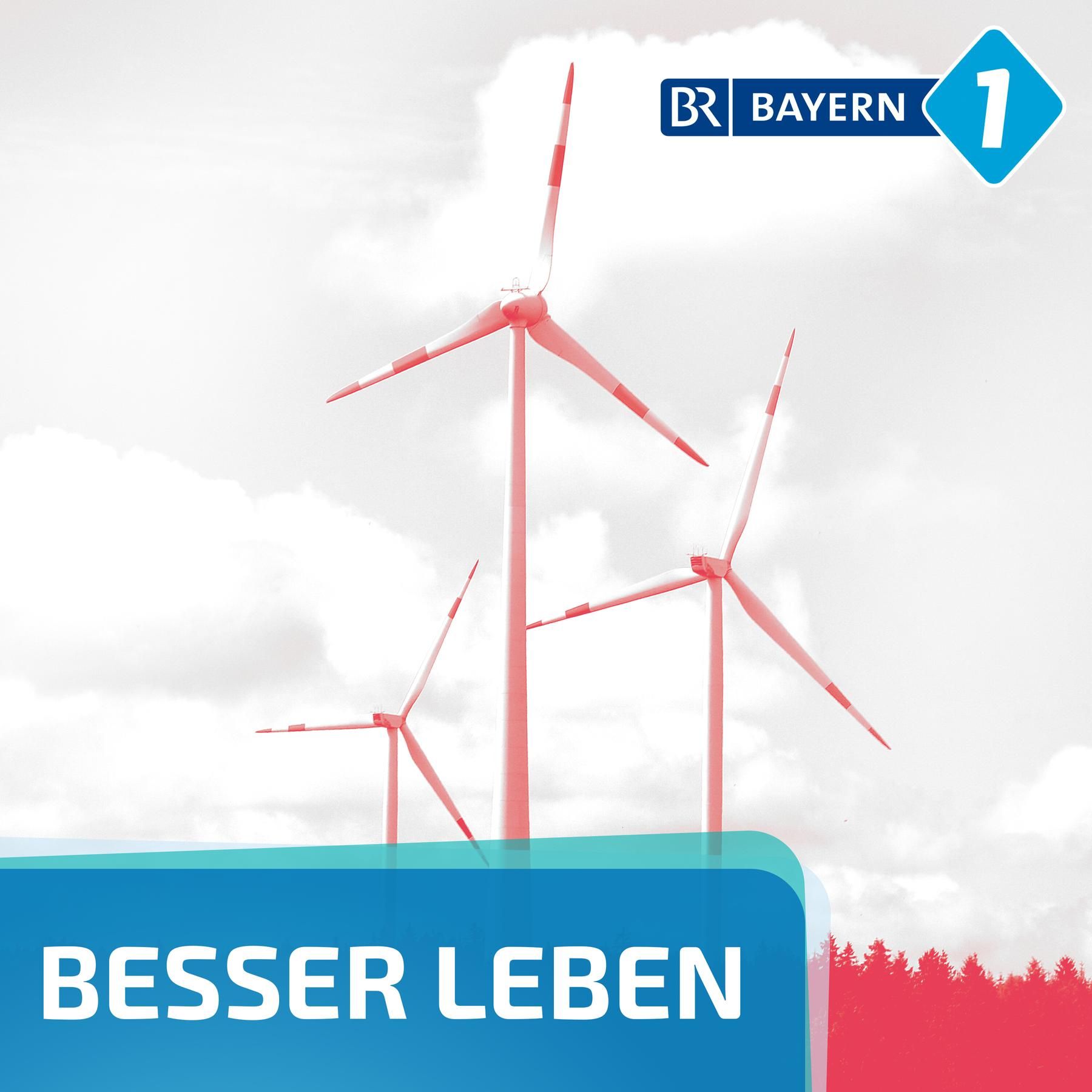 Dynamischer Stromtarif: Was soll mir das bringen?
