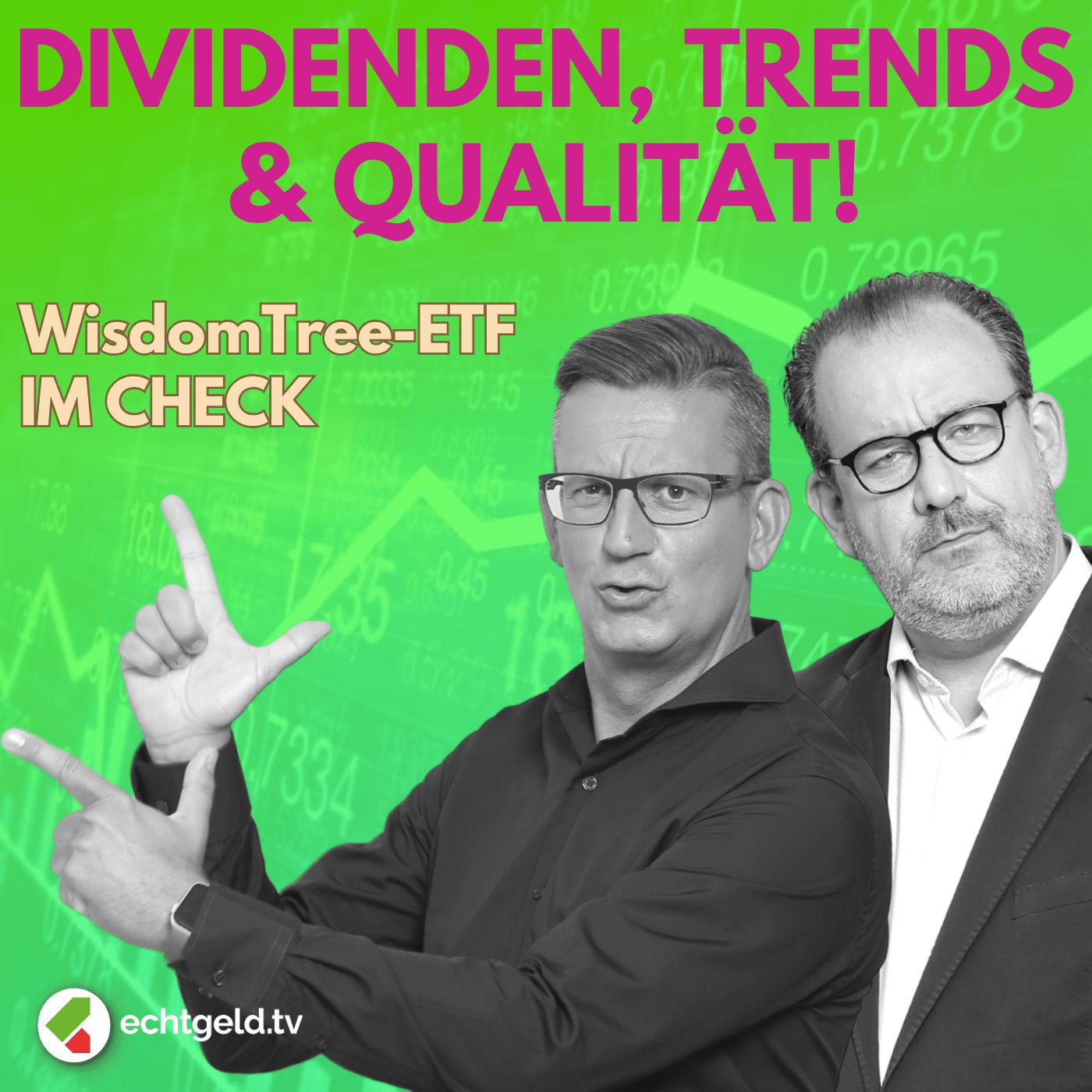 egtv #325 WisdomTree Quality Dividend Growth ETF: Was ist mit der Ausschüttung? | Cybersecurity | KI | Cloud