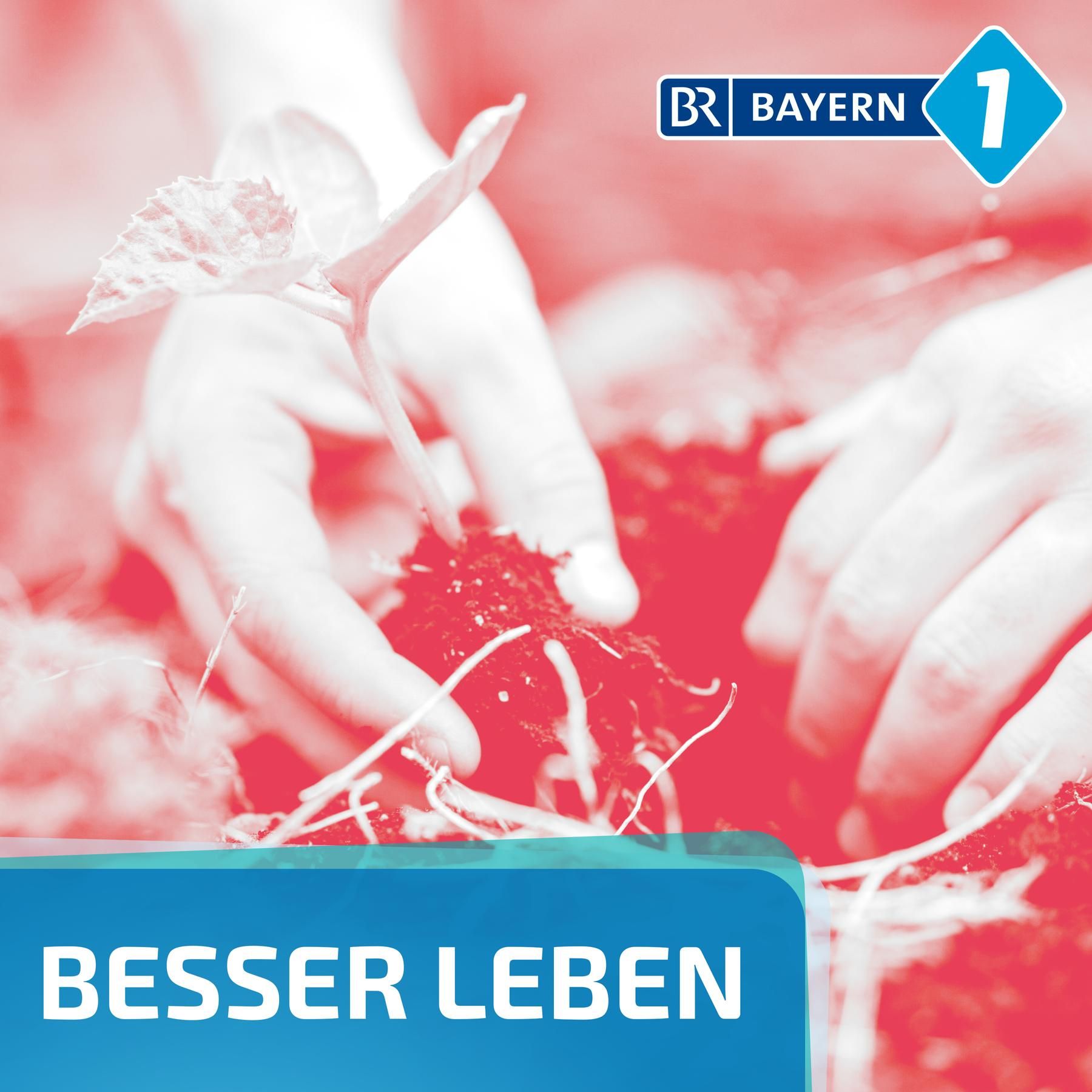 Warum torffreie Erde gut für die Umwelt ist