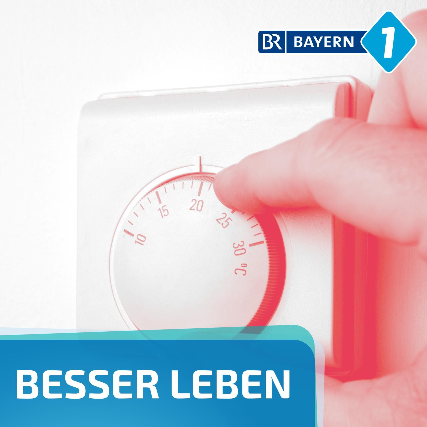 Was kostet ein Grad mehr?