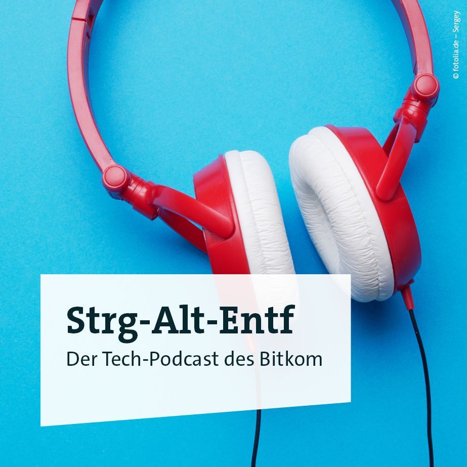 Folge 8.0: Die digitalpolitischen Ziele der Linken - Bitkom@8 mit Anke Domscheit-Berg