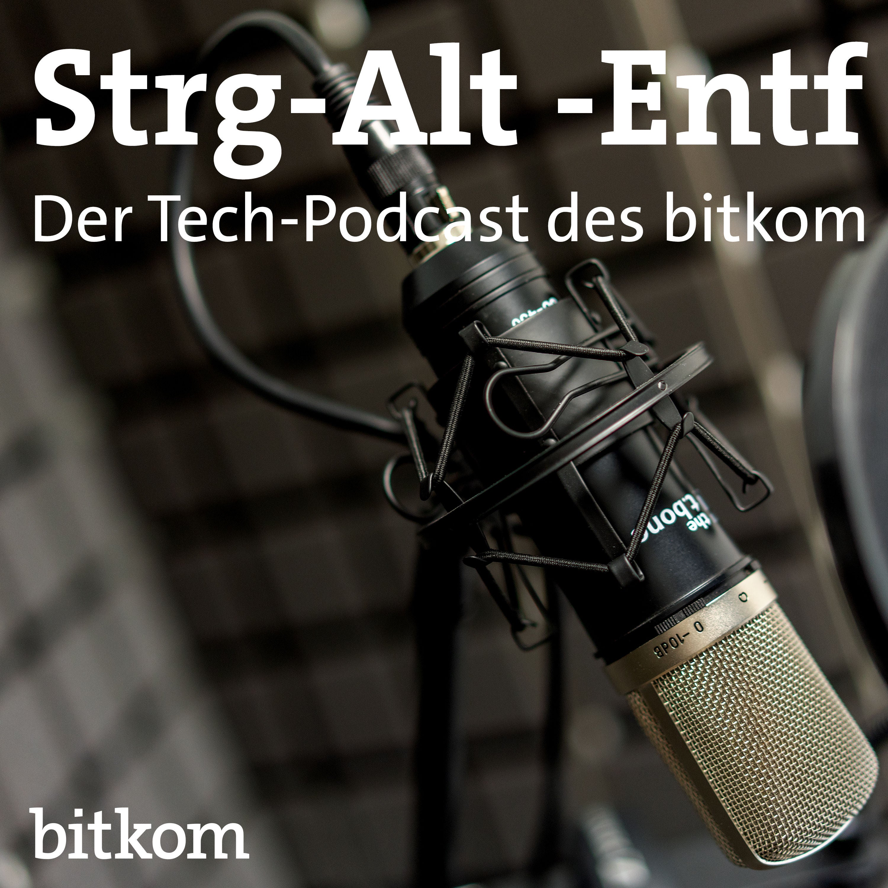 Folge 36.0 - Policy Pitch: Was planen die Parteien für die Digitale Bildung?