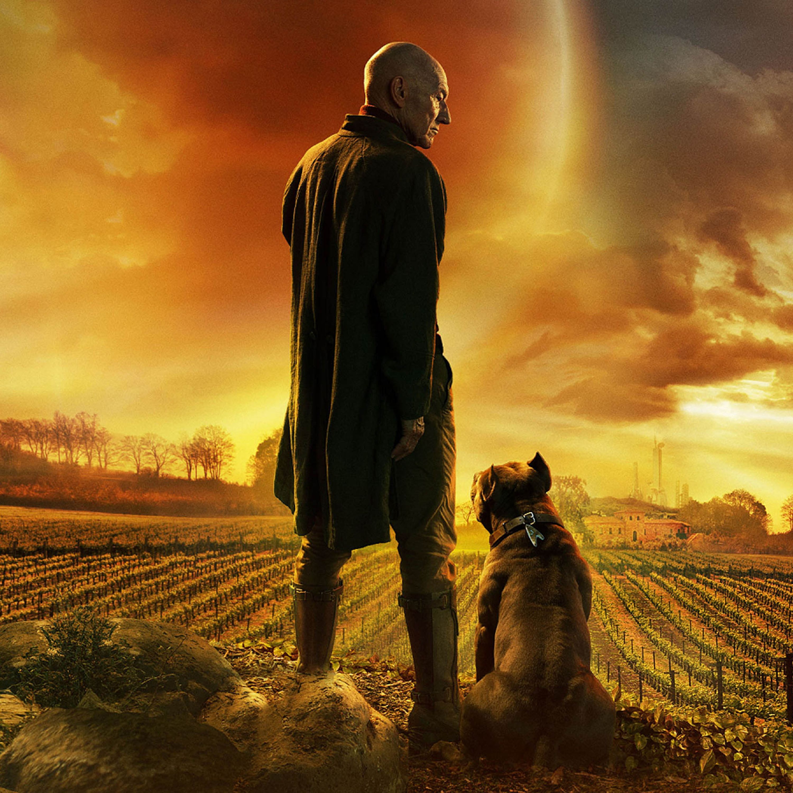 Star Trek: Picard - Das alte Star Trek?