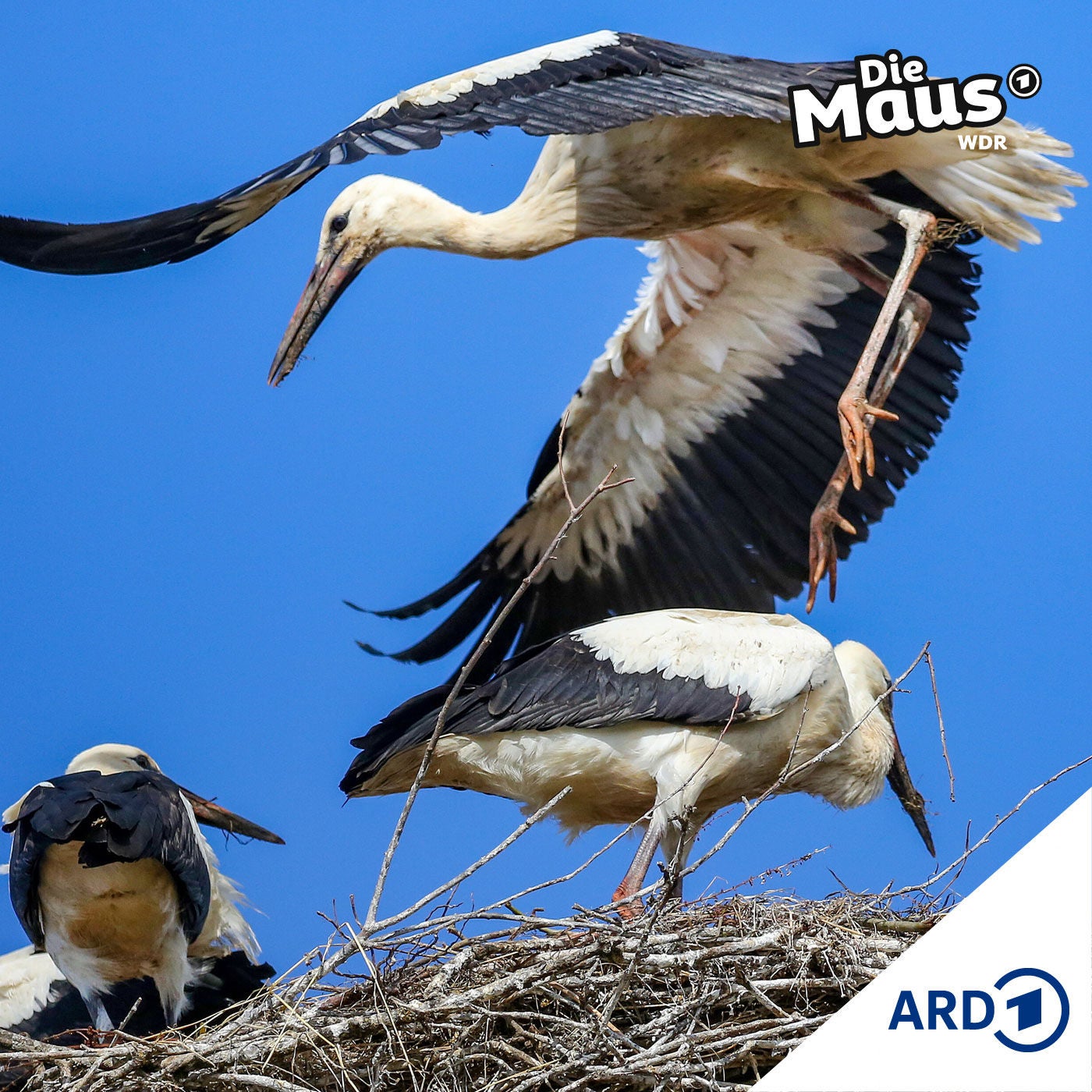 Eine lange Reise (3/5) I Tierliches ab 6 Jahren