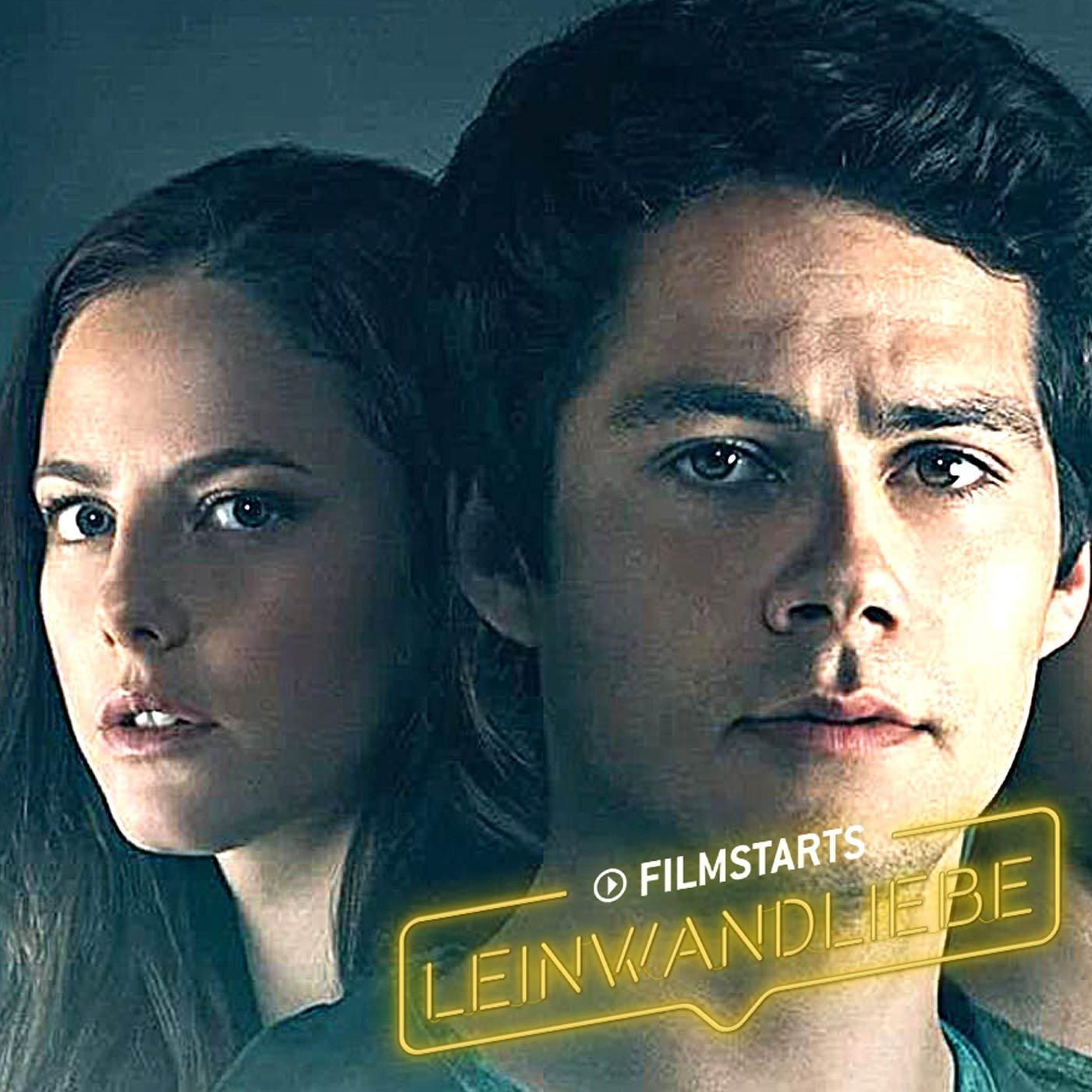 Das bessere Tribute von Panem?: "Maze Runner" Trilogie - Kurzkritik