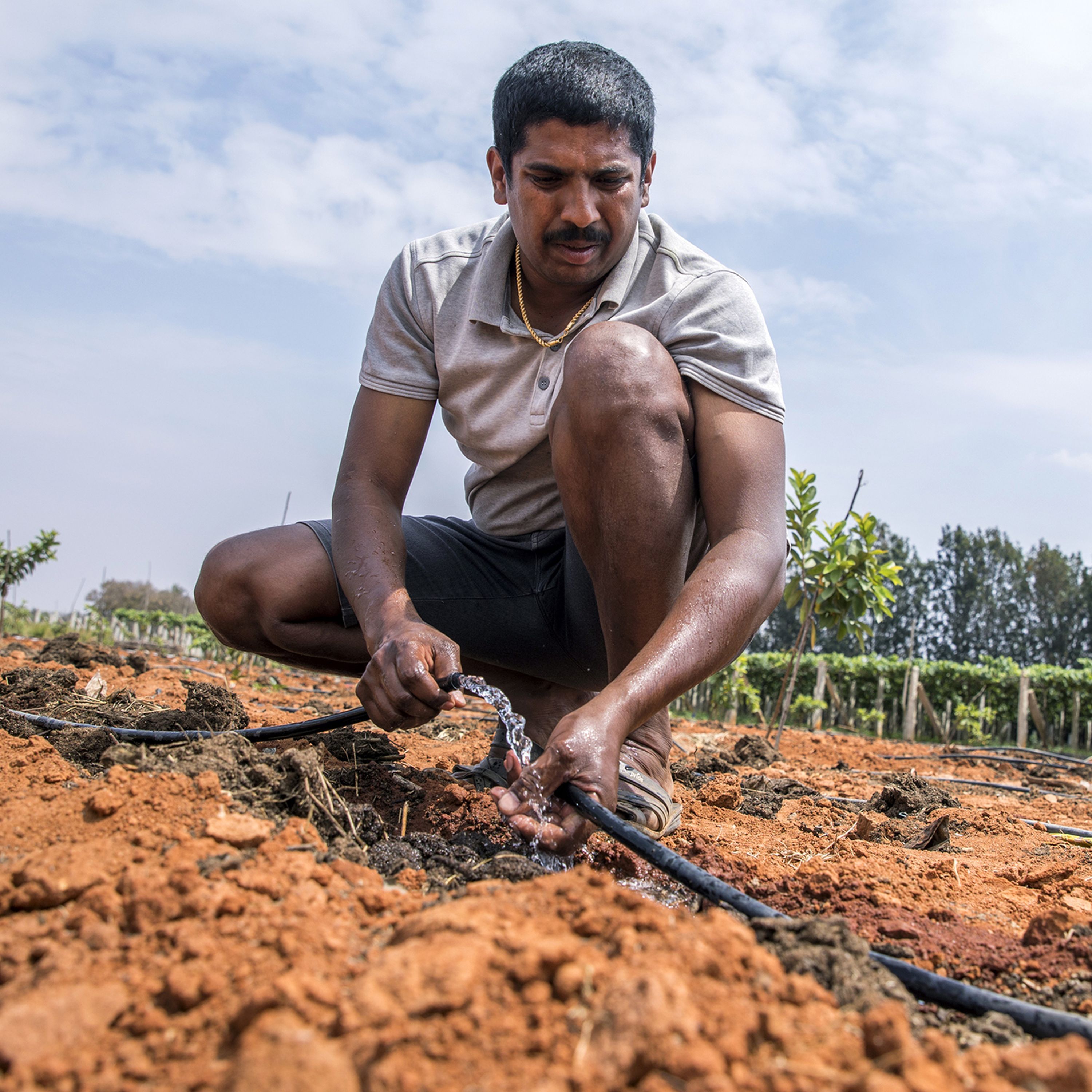 India’s growing water crisis