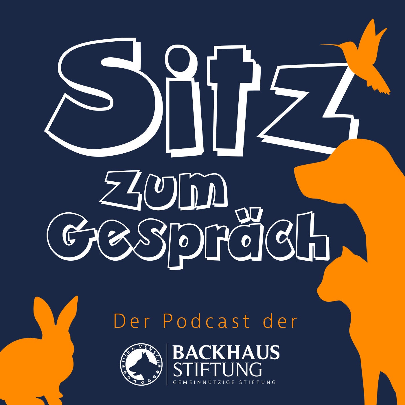 Wie geht artgerechte Hamsterhaltung?