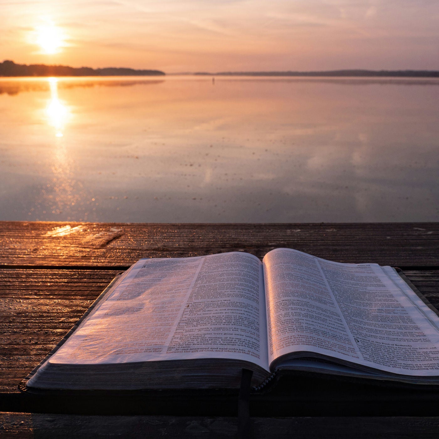 Begegnungen mit dem Fremden. Die Bibel als Lese- und Lebensbuch.