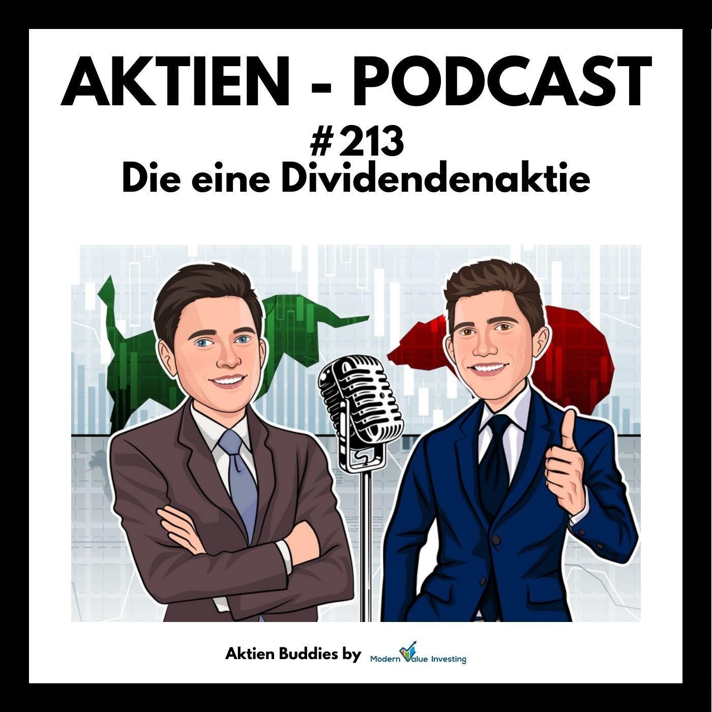 213 - Die eine Dividenden-Aktie - Bayer - Arm - Disney - Ameresco - Broadcom - 1&1 - Eli Lilly - iRobot...