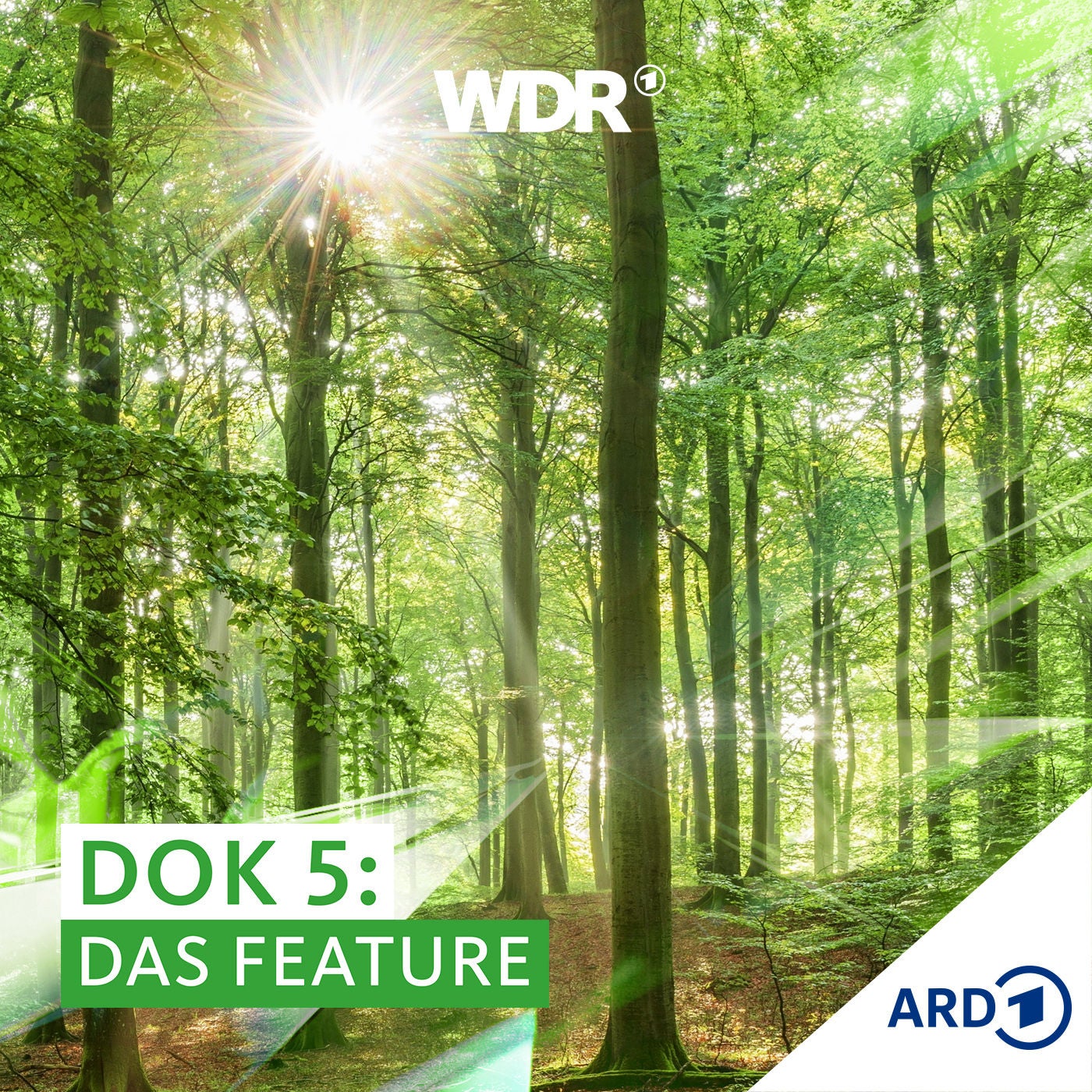 Der Wert des Waldes - Deutsche Forstwirtschaft im Klimawandel