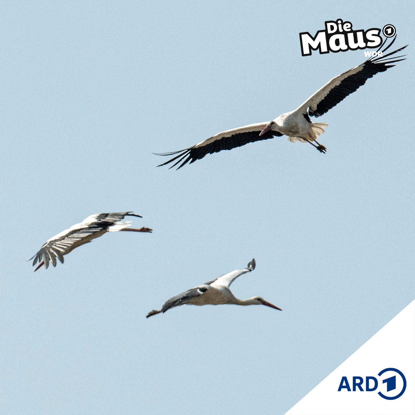Eine lange Reise (5/5) I Tierliches ab 6 Jahren