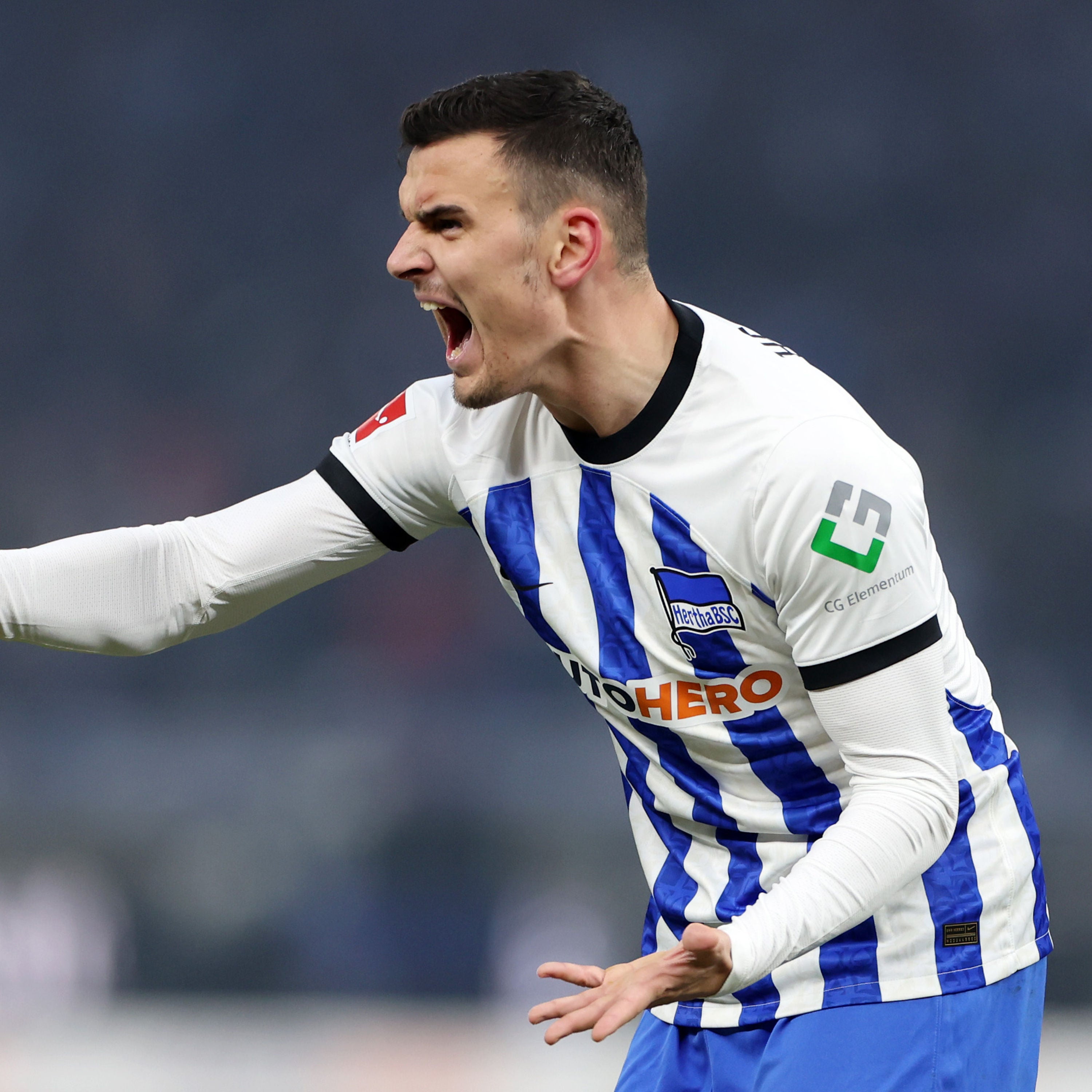 HB#219 Der Hertha-Weg