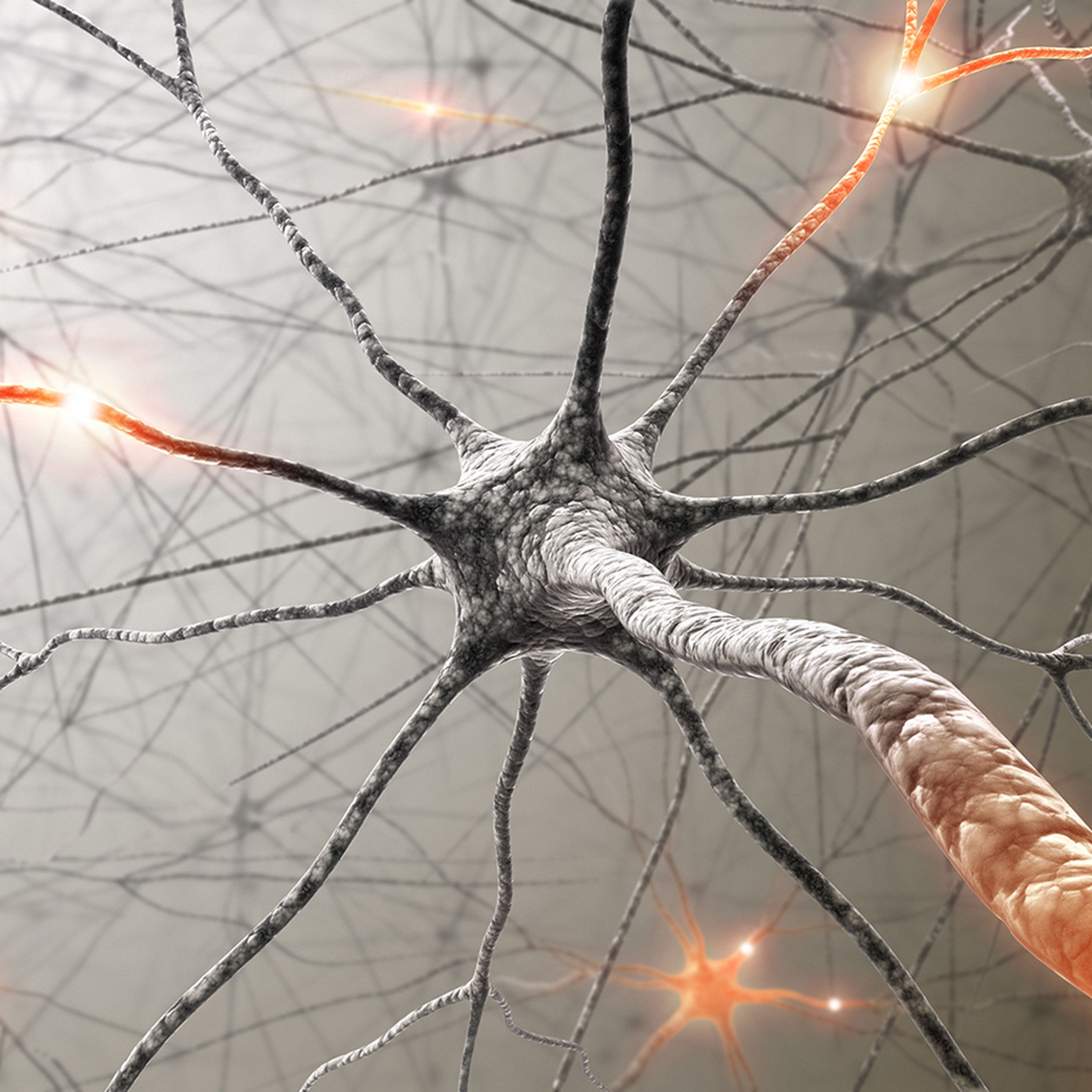 Flashing lights offer hope for Alzheimers cure