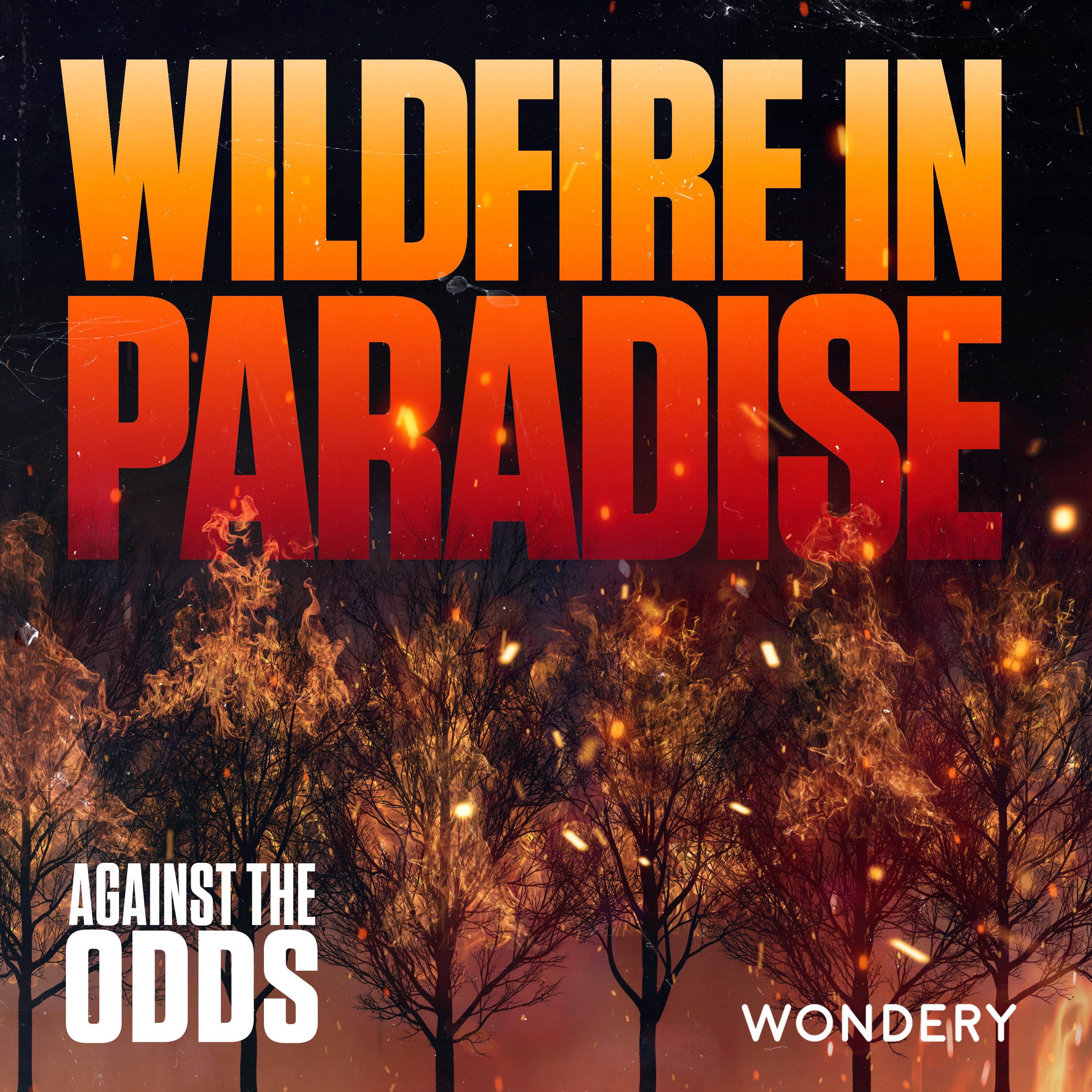 Wildfire in Paradise | Containment | 4