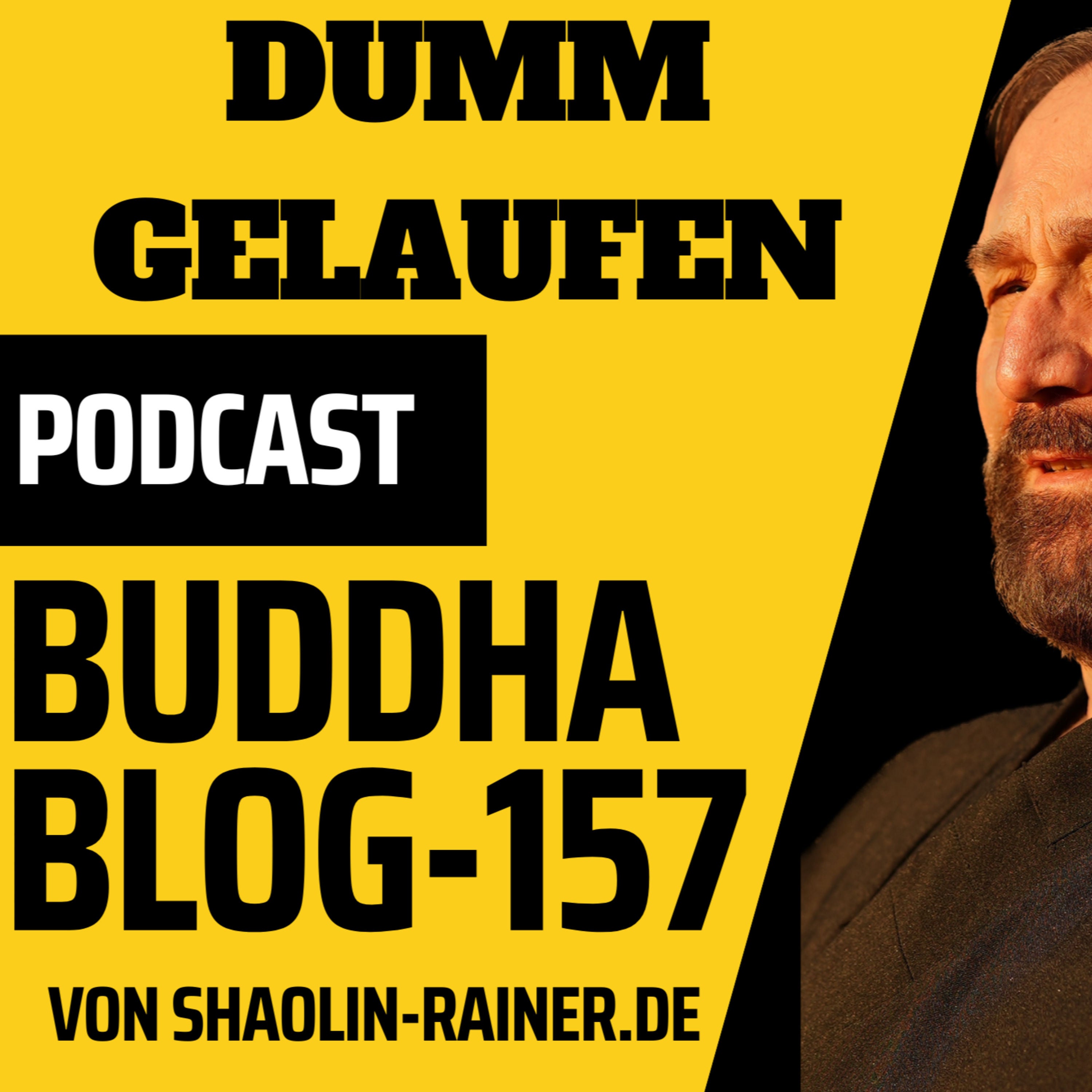 Der grosse Podcast 157-Dumm gelaufen - Buddha-Blog-Podcast-Buddhismus im Alltag