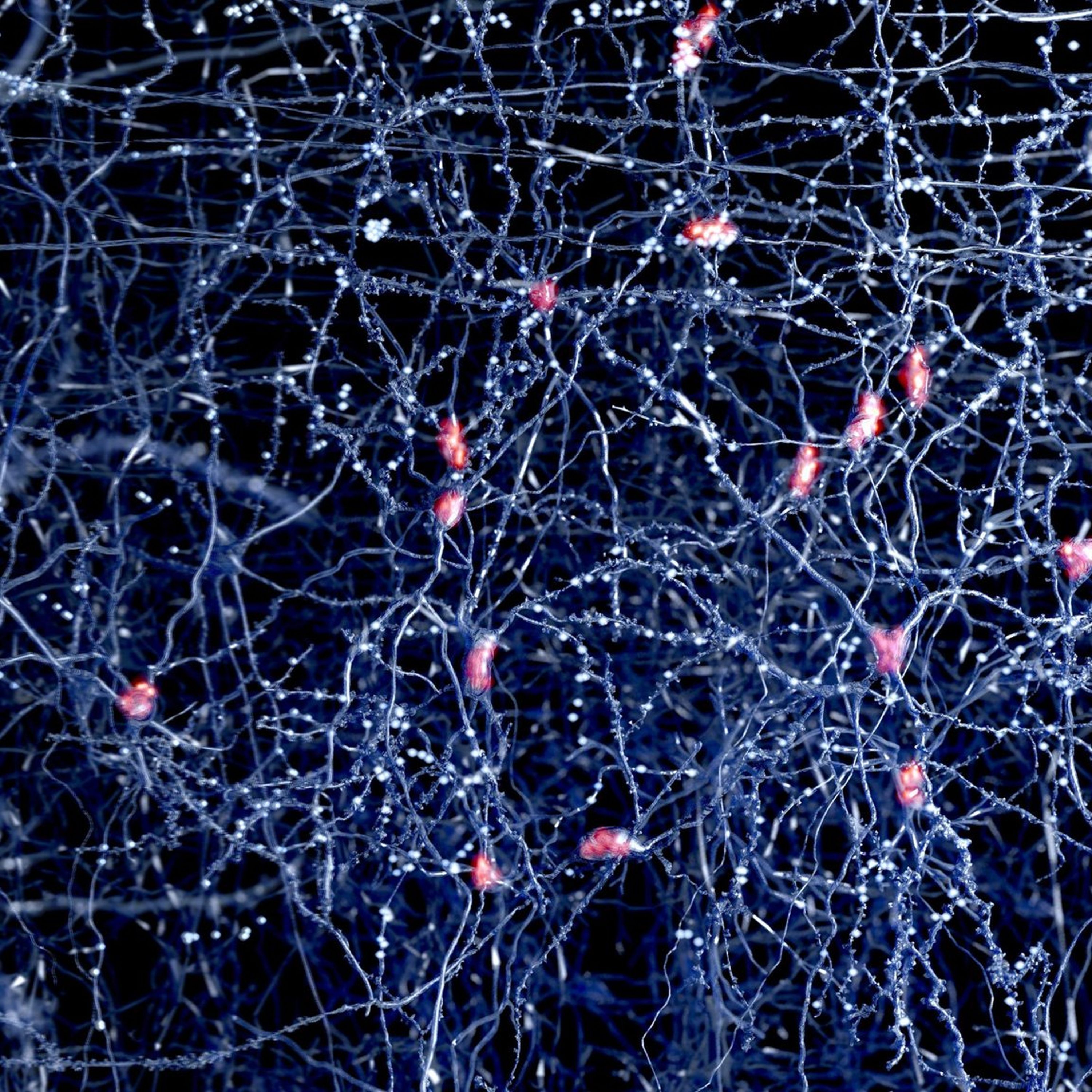 Electroceuticals: the next frontier in medical science?