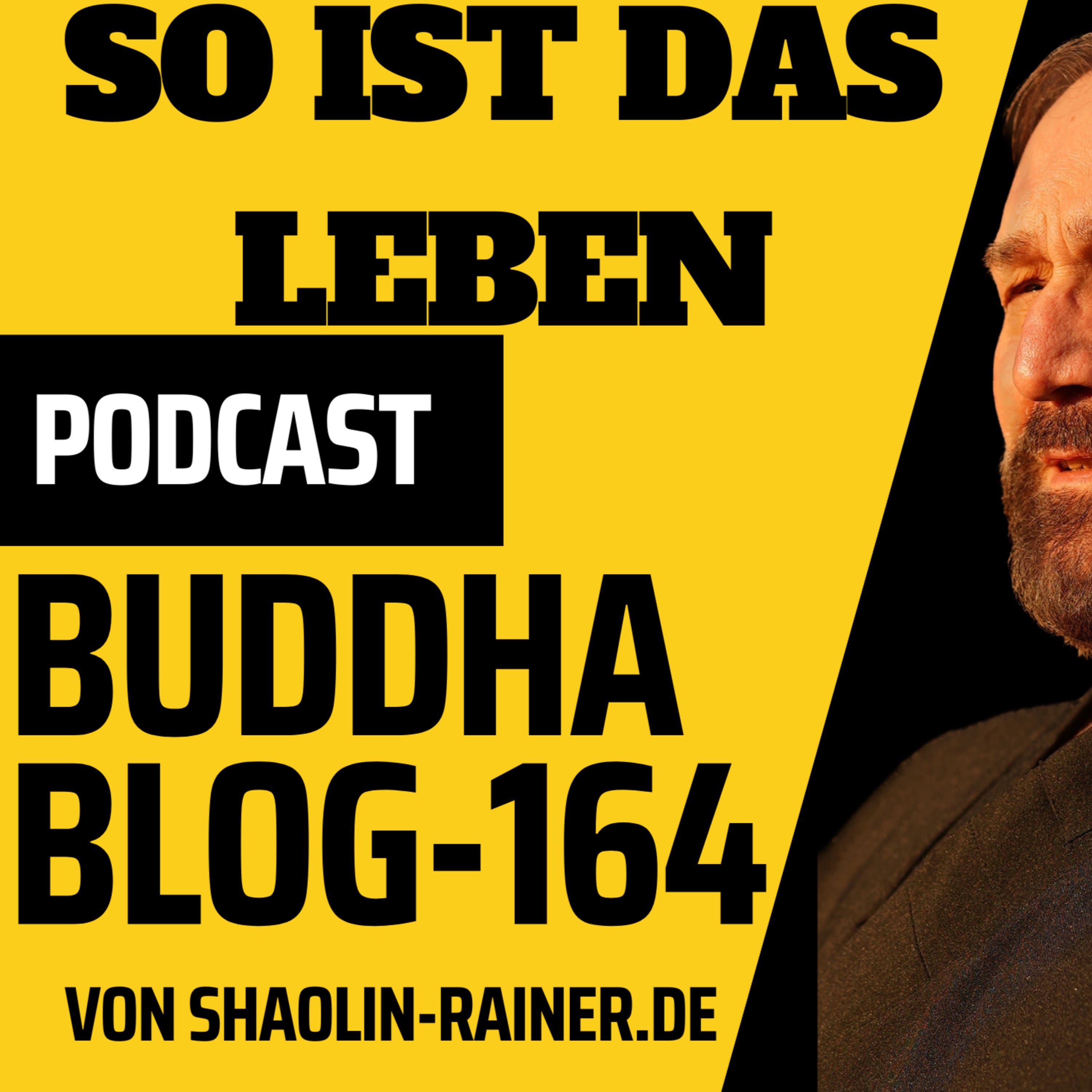 164-So ist das Leben -Buddha-Blog-Podcast-Buddhismus im Alltag
