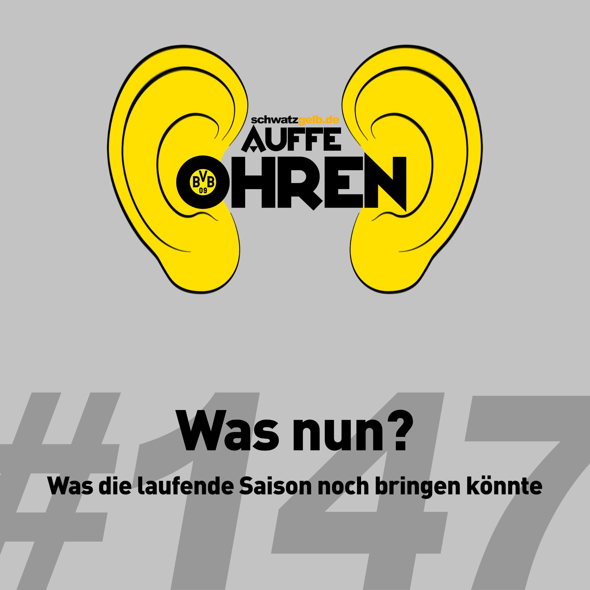 Auffe Ohren #147: "Was nun?"