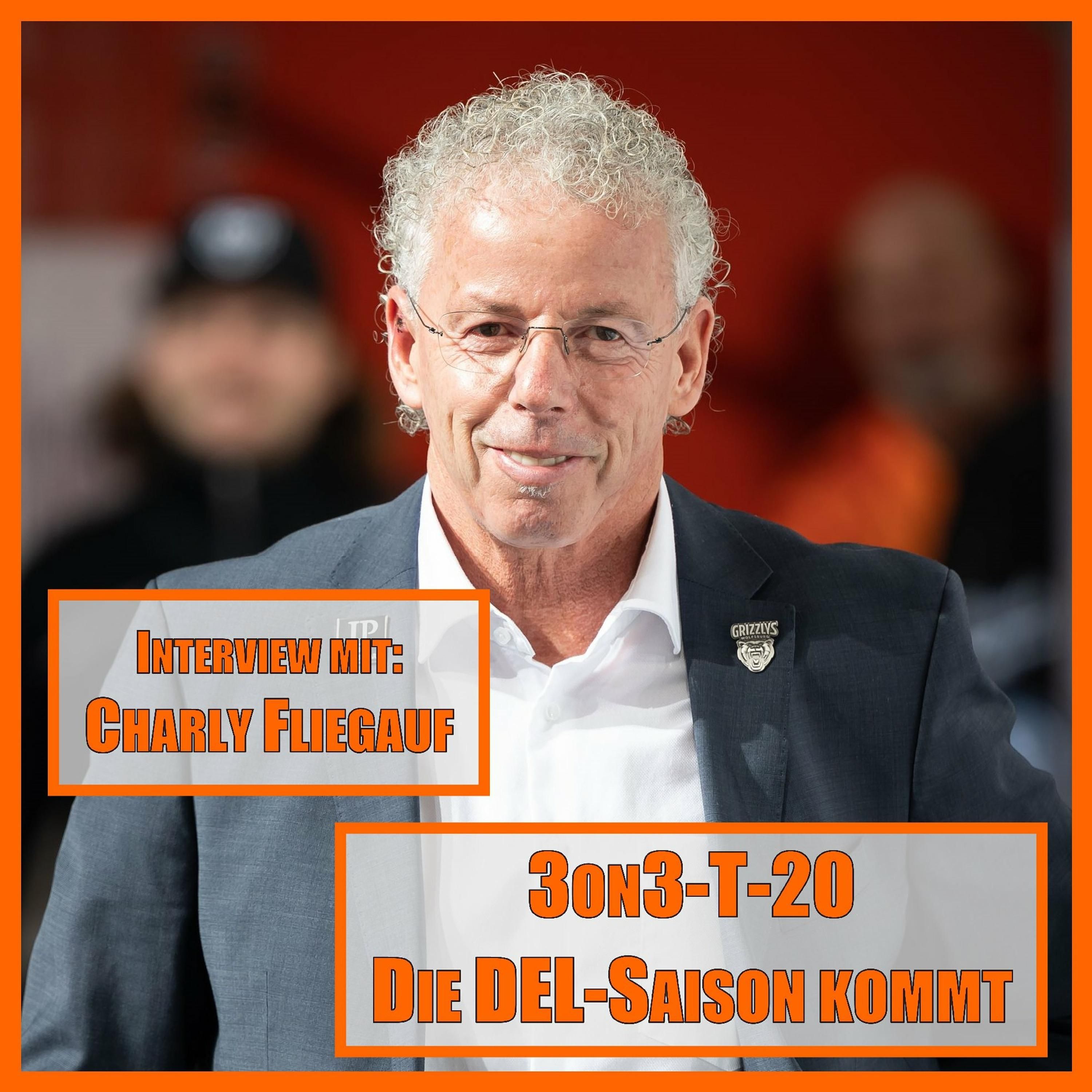 3on3-T20 - Die DEL-Saison kommt