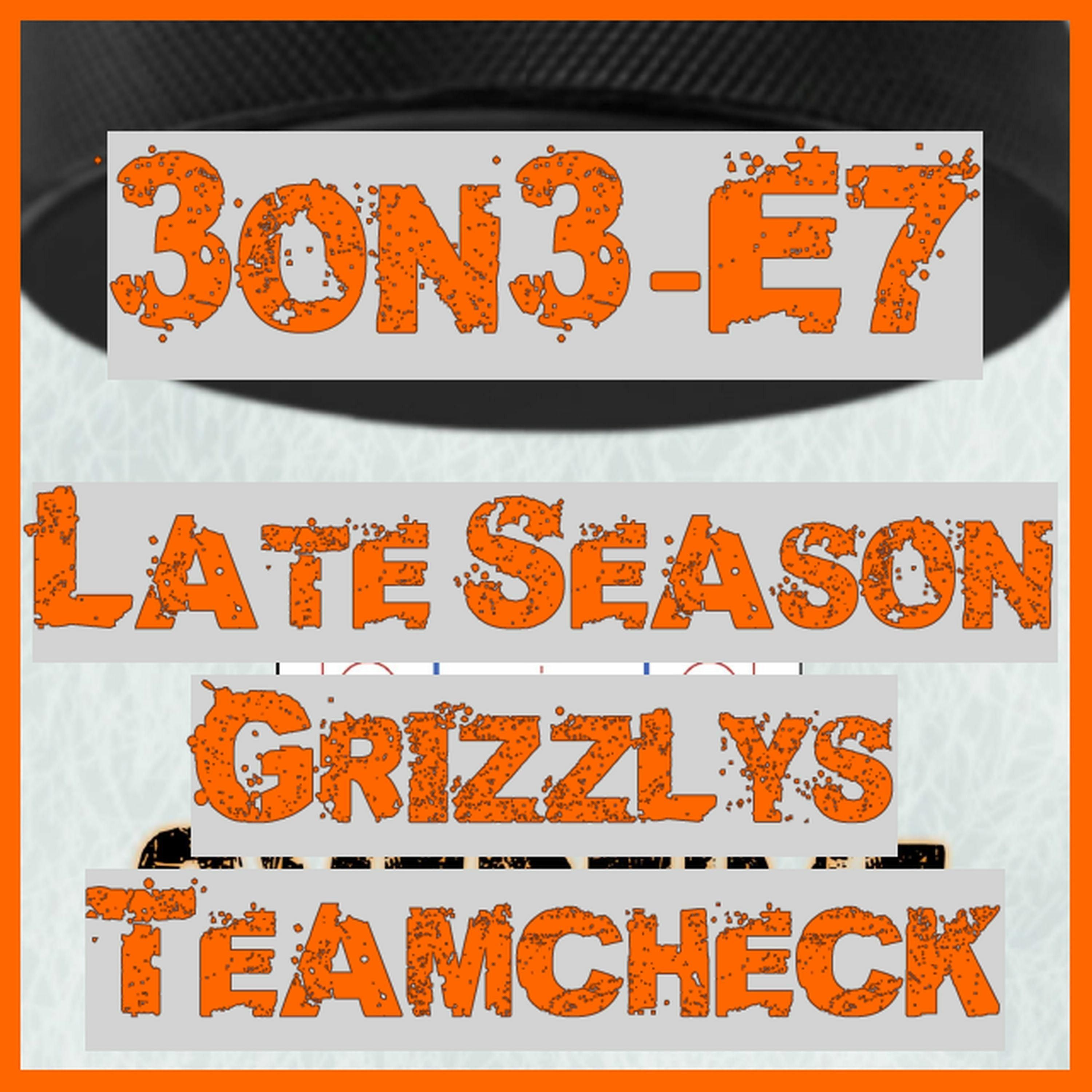 3on3-E7 - Late Season Grizzlys Teamcheck