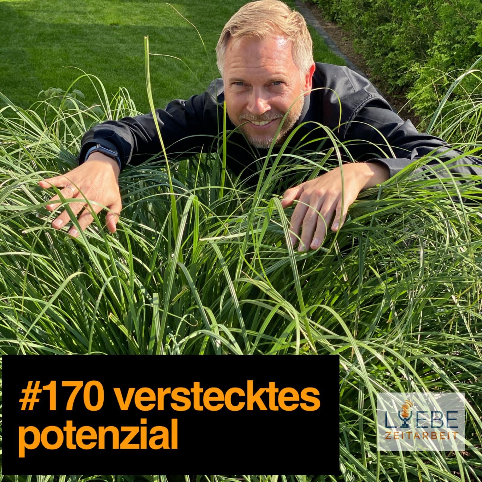 #170 Verstecktes Potenzial