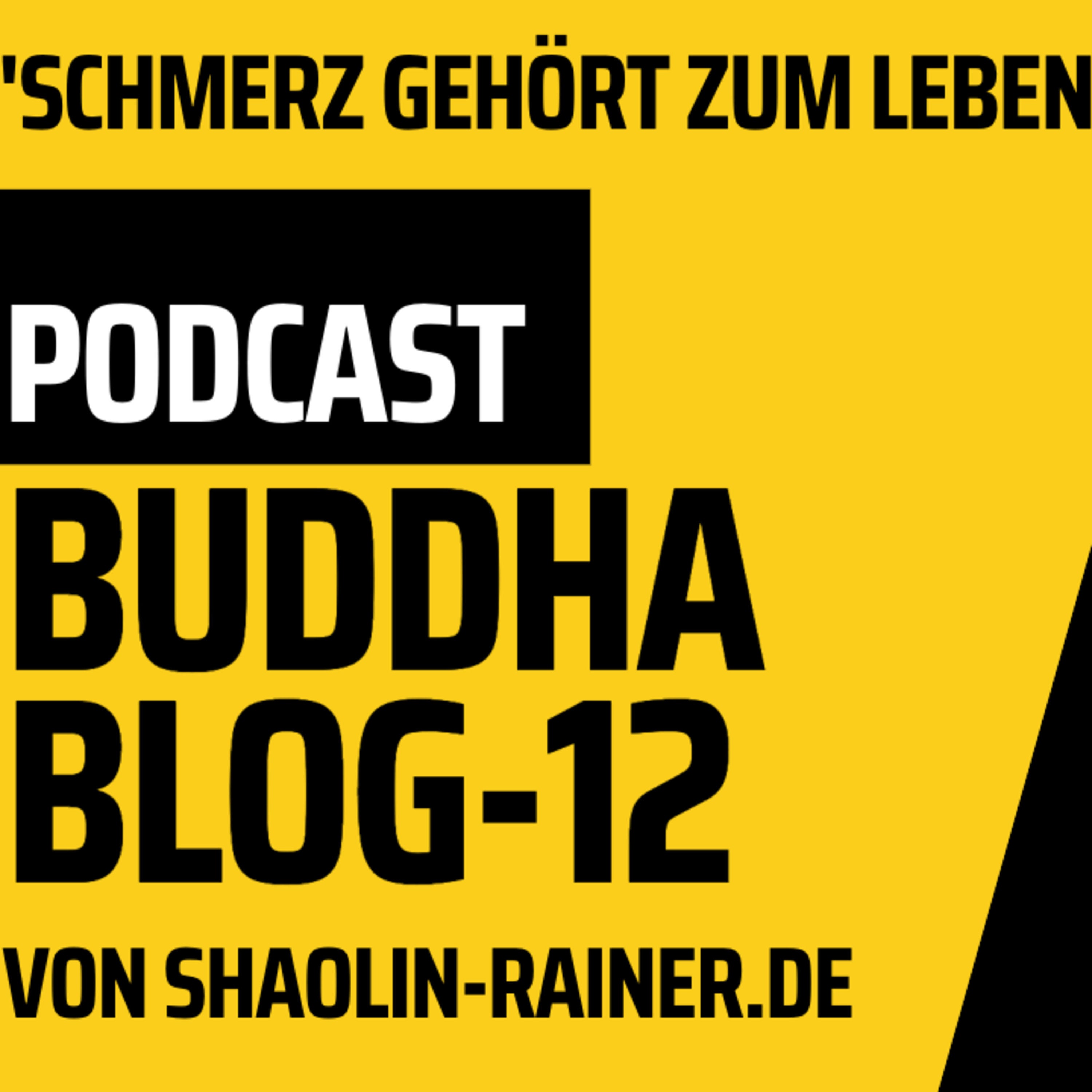 Der grosse Podcast Folge 12-Schmerz gehört zum Leben - Buddha-Blog-Podcast-Buddhismus im Alltag - von Shaolin-Rainer