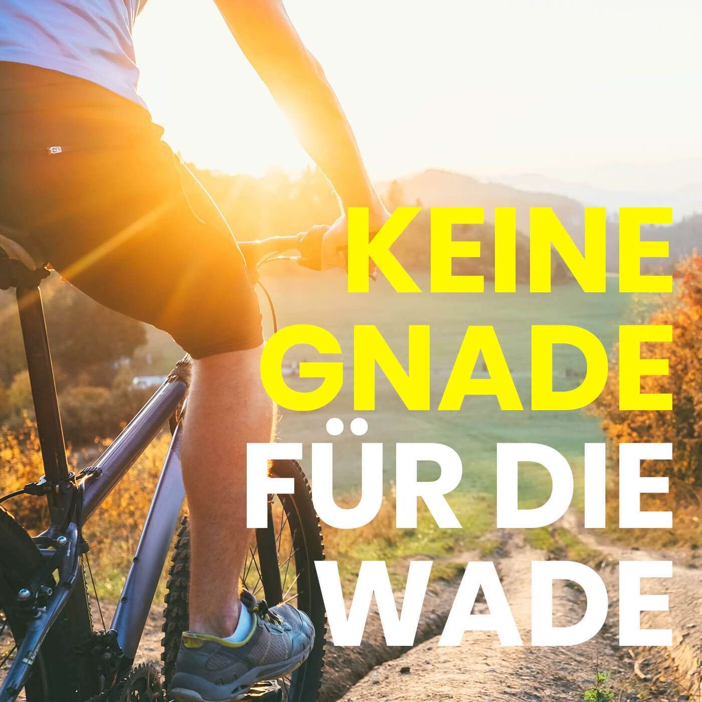 Fahrradmitnahme im Zug