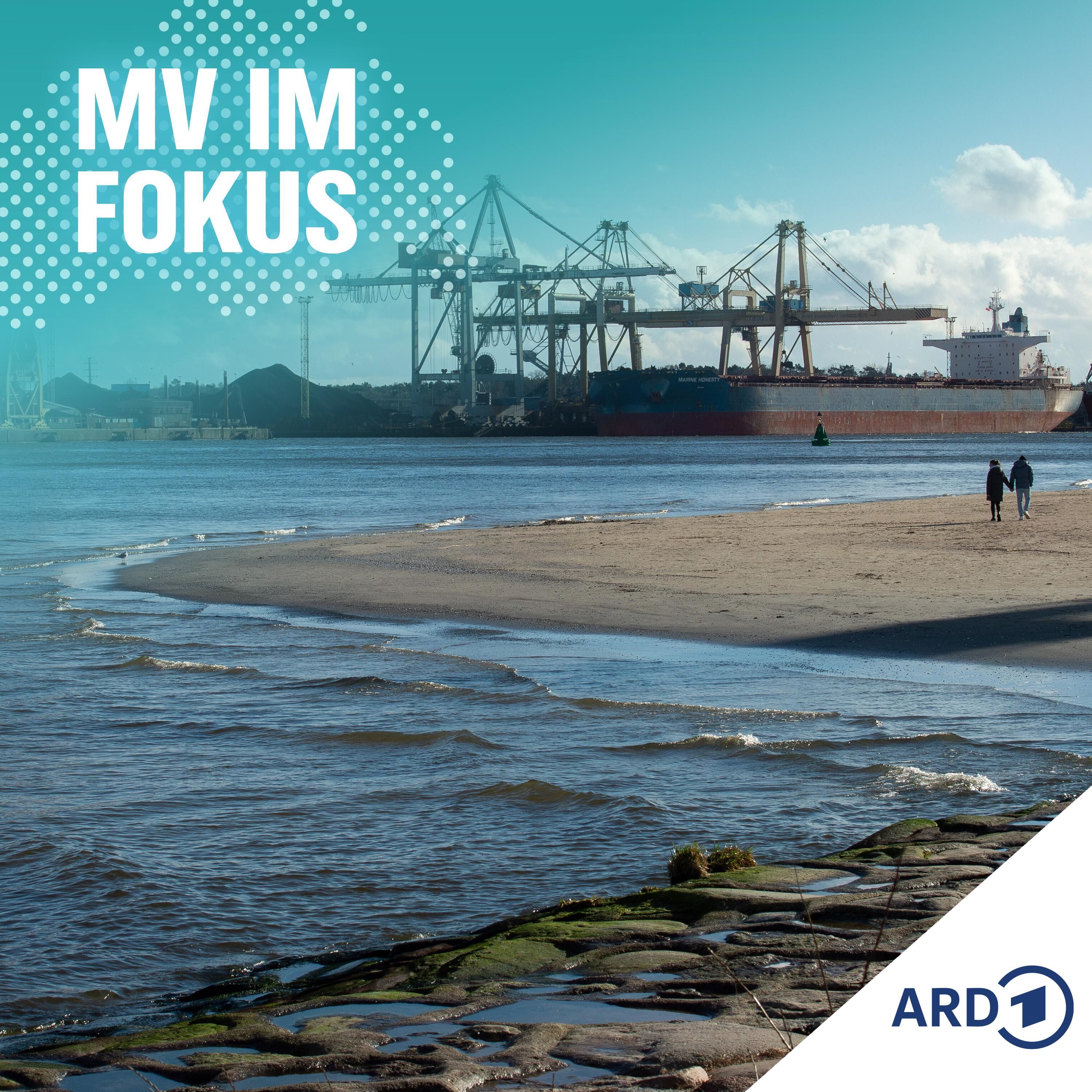 Containerhafen Swinemünde: Gefahr für Usedoms Tourismus?