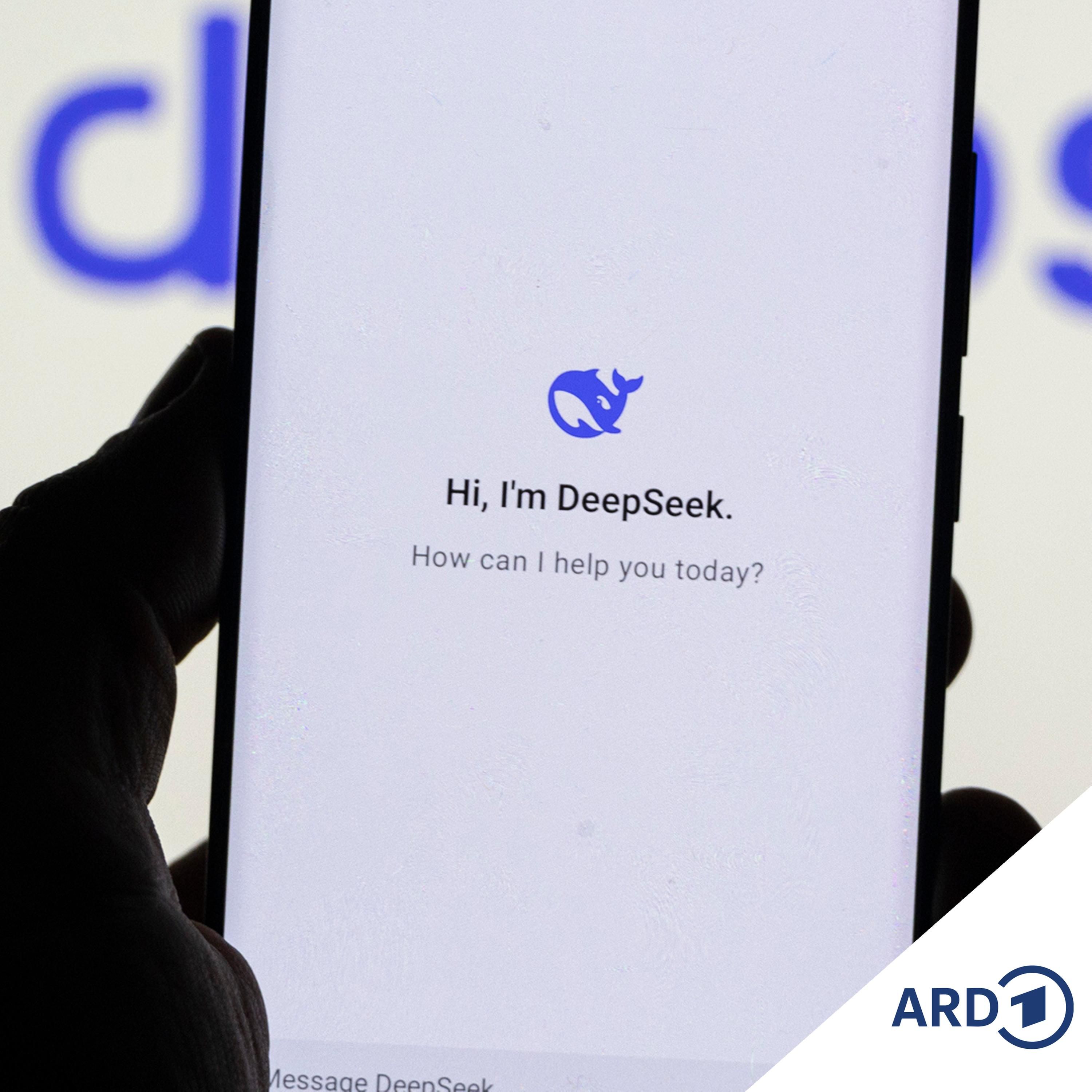 DeepSeek: Besser als ChatGPT & Co?