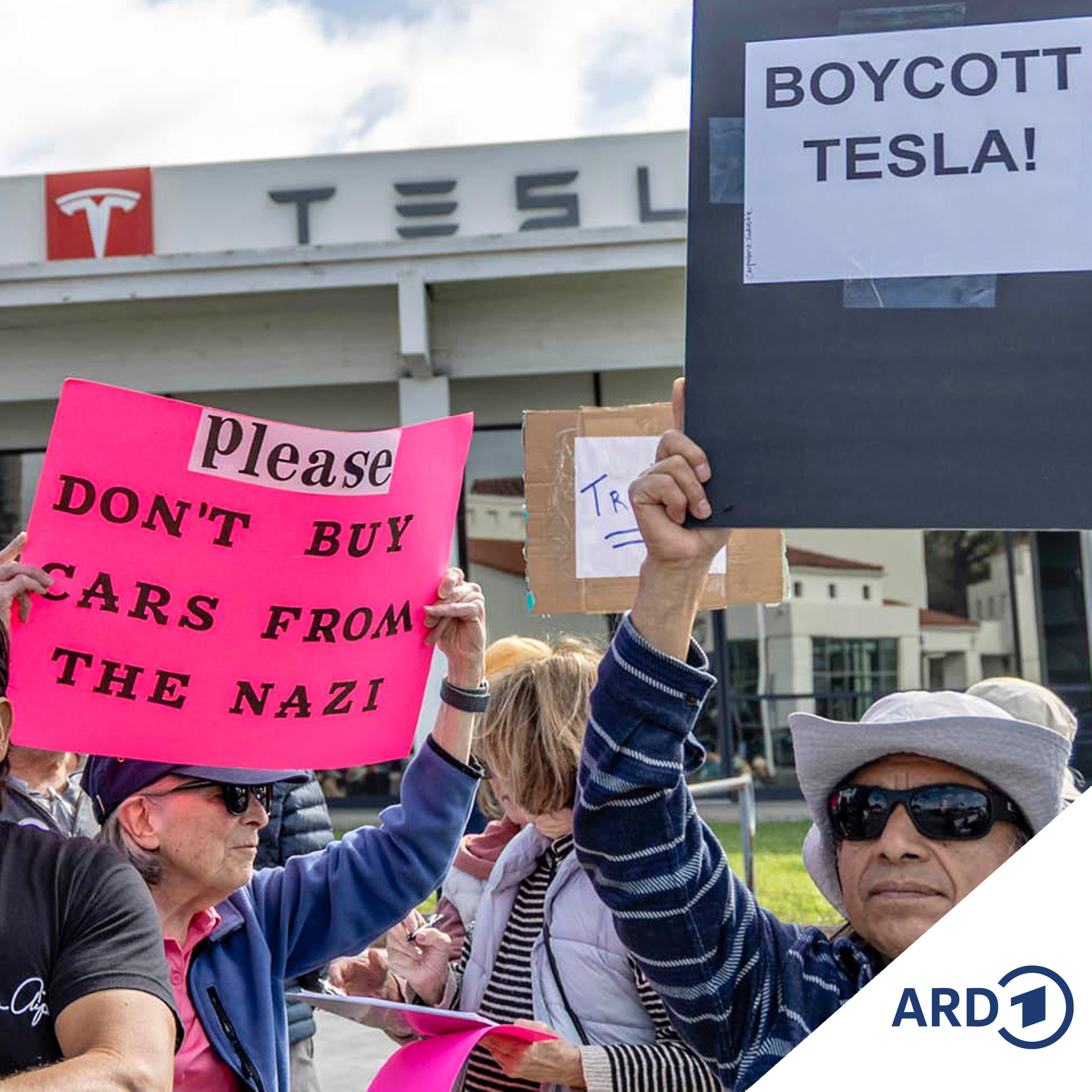 Scharf rechts abgebogen: Fährt Elon Musk Tesla gegen die Wand?