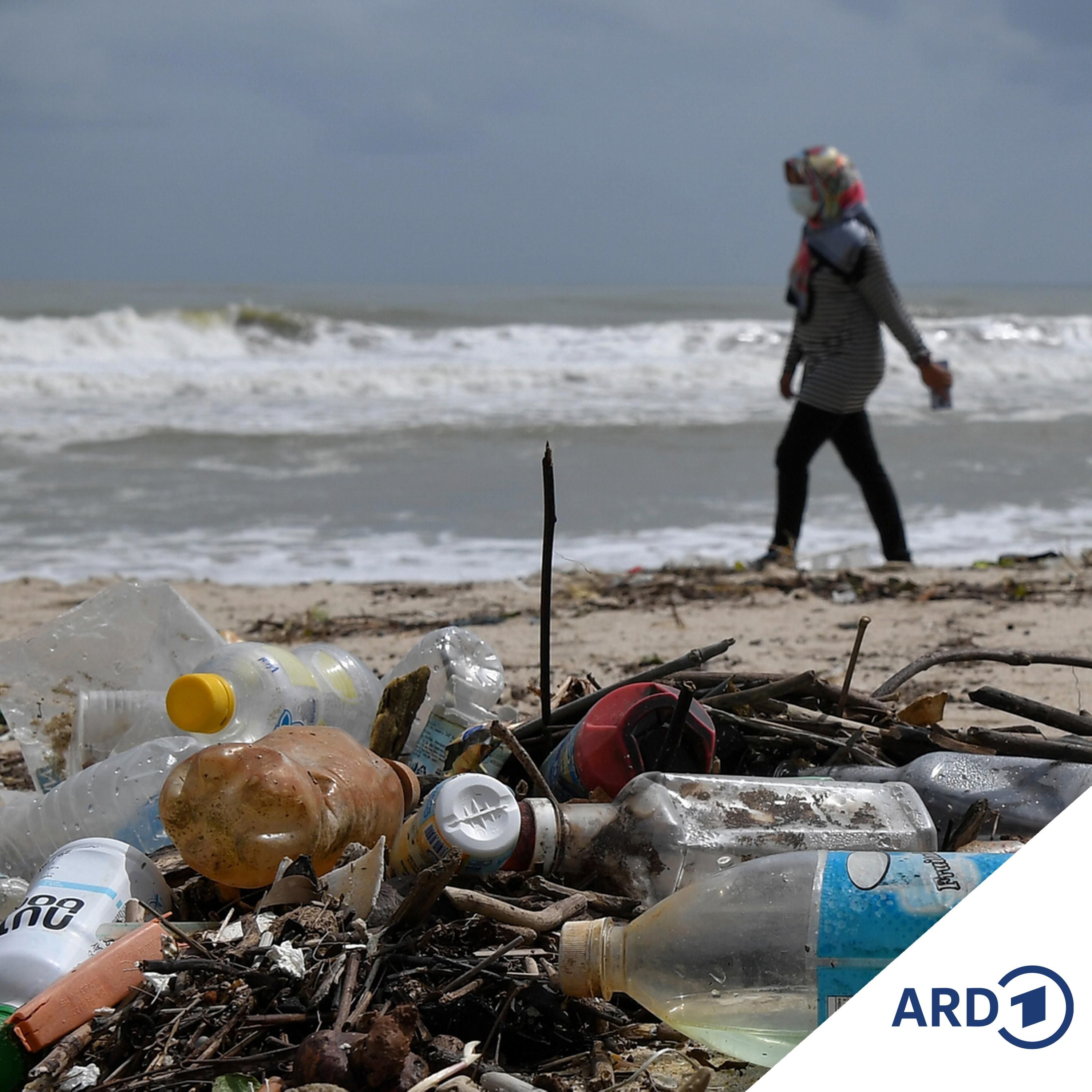 Greenwashing-Vorwurf: Streit um Plastik-Zertifikate