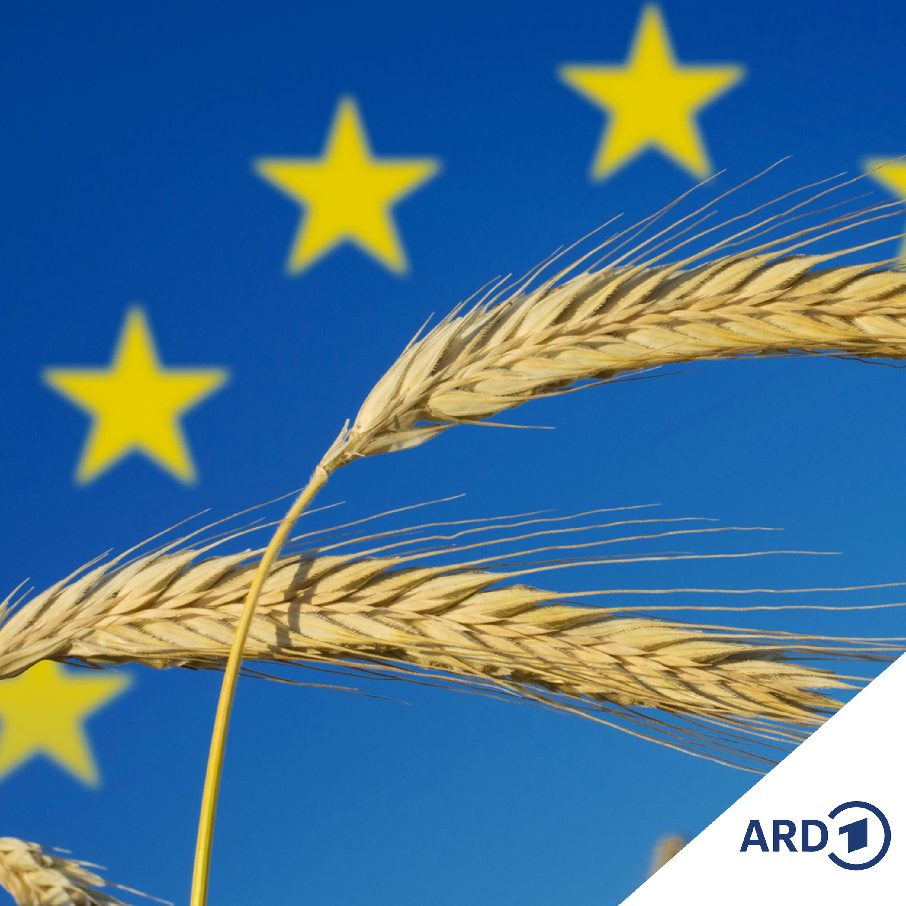 Neue Agrarpläne der EU = Partytime für Bauern?