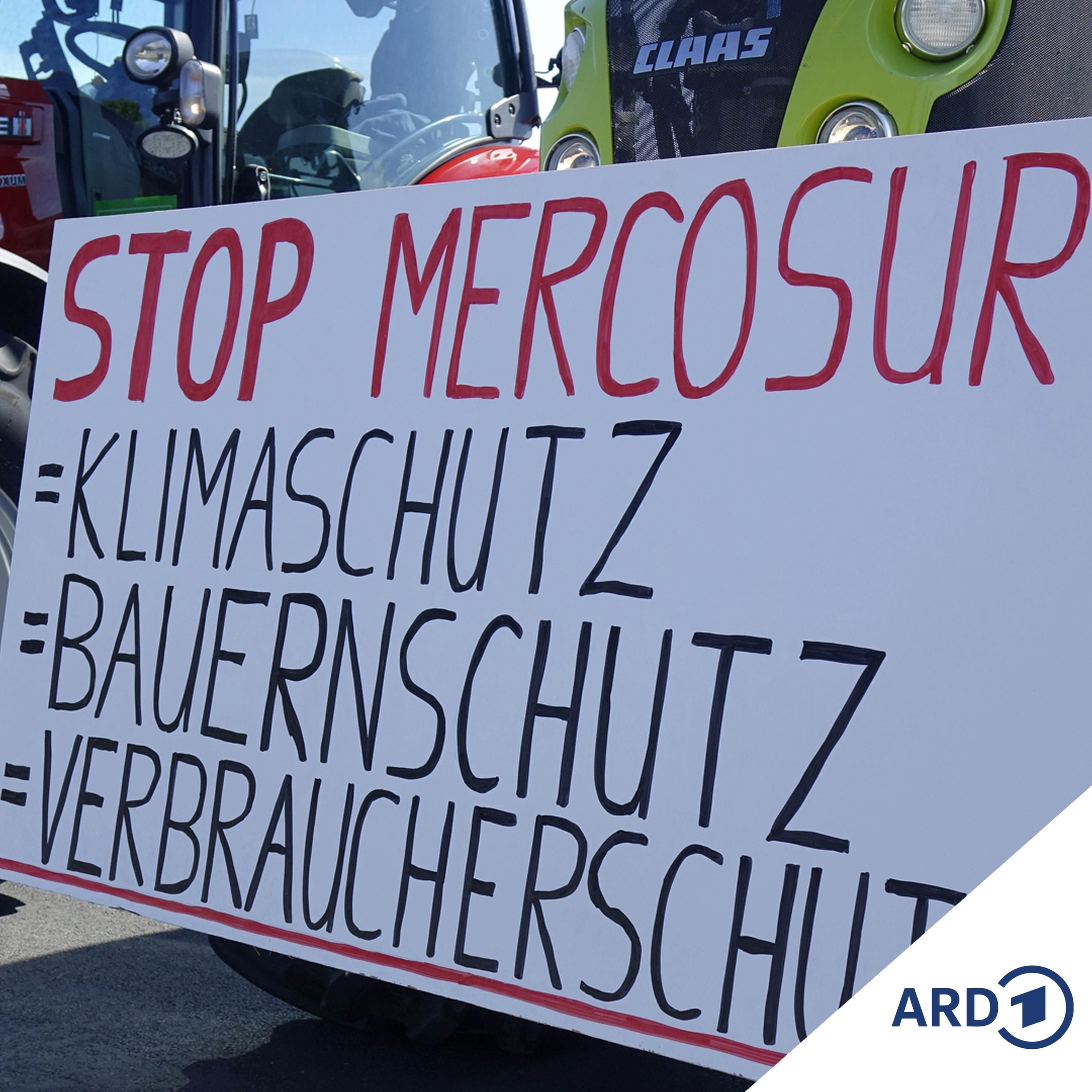 Mercosur-Abkommen: nach 25 Jahren auf der Zielgeraden