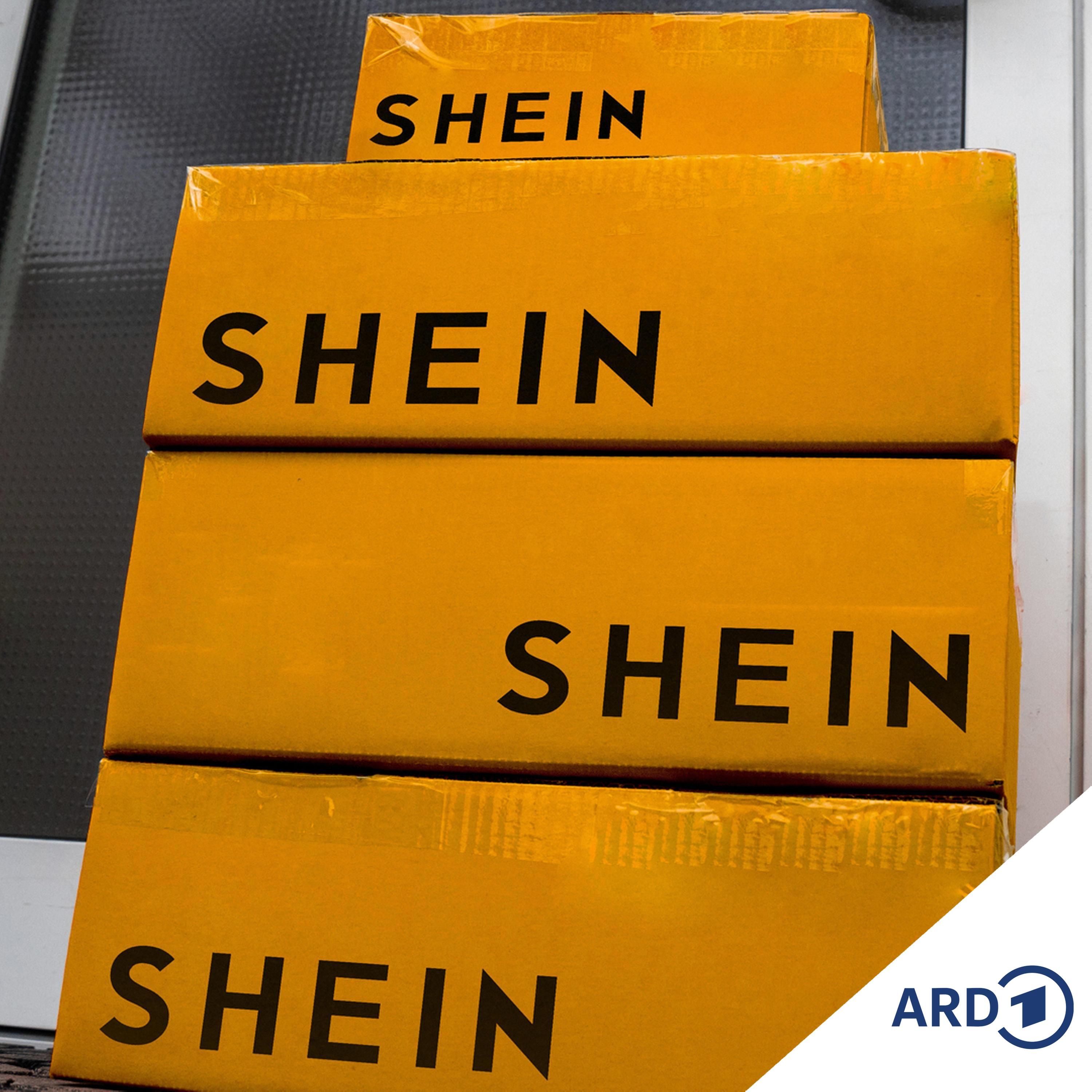 Geht es Temu und Shein jetzt an den Zoll-Kragen?