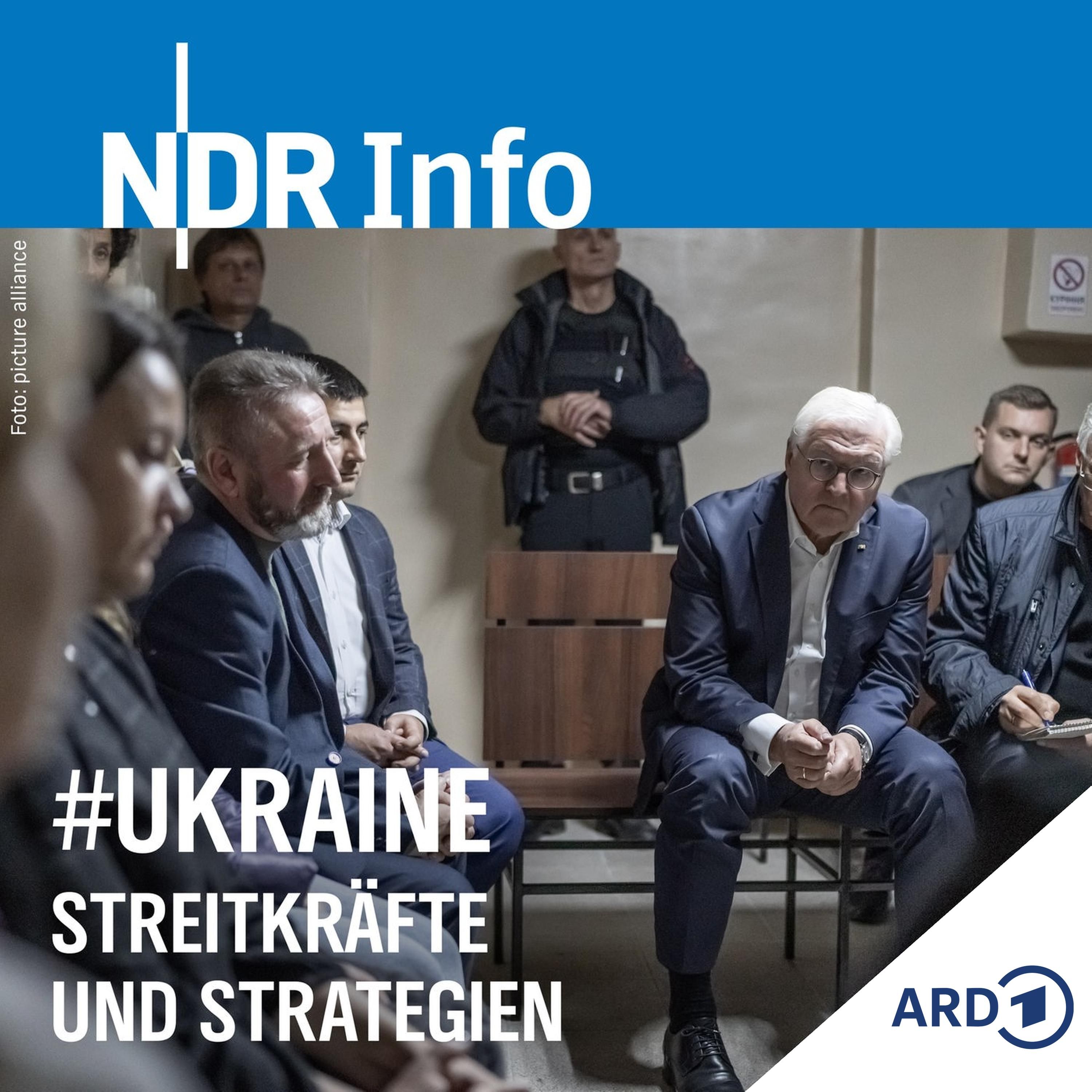 Steinmeier im Bunker (Tag 244 - 245)