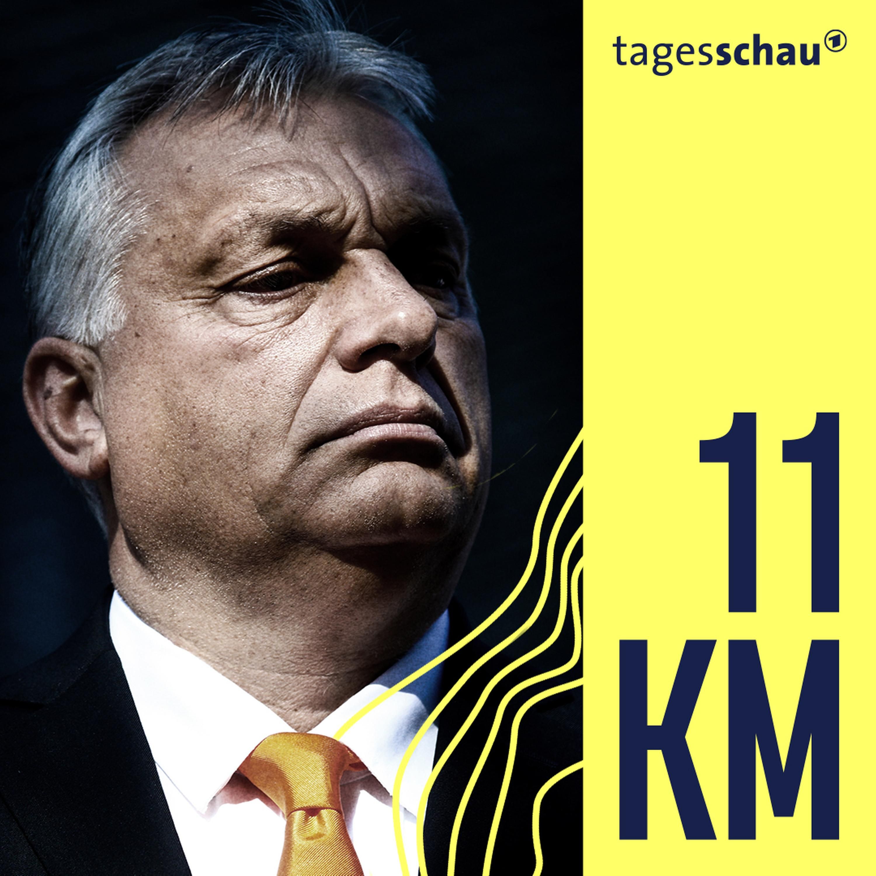 Make Europe Great Again: Was Viktor Orban wirklich will