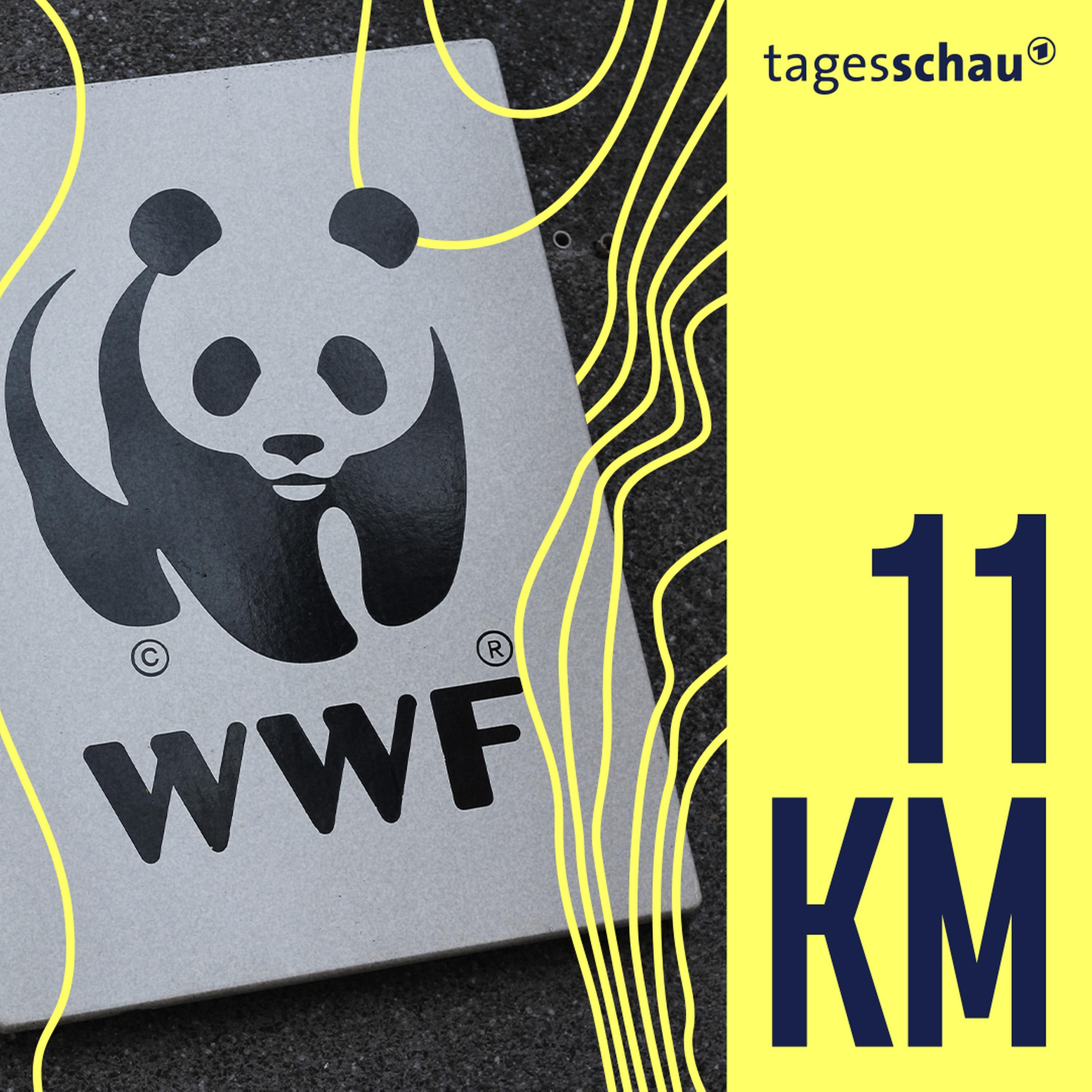 Deutsche Bank-Tochter: Greenwashing mit Panda?