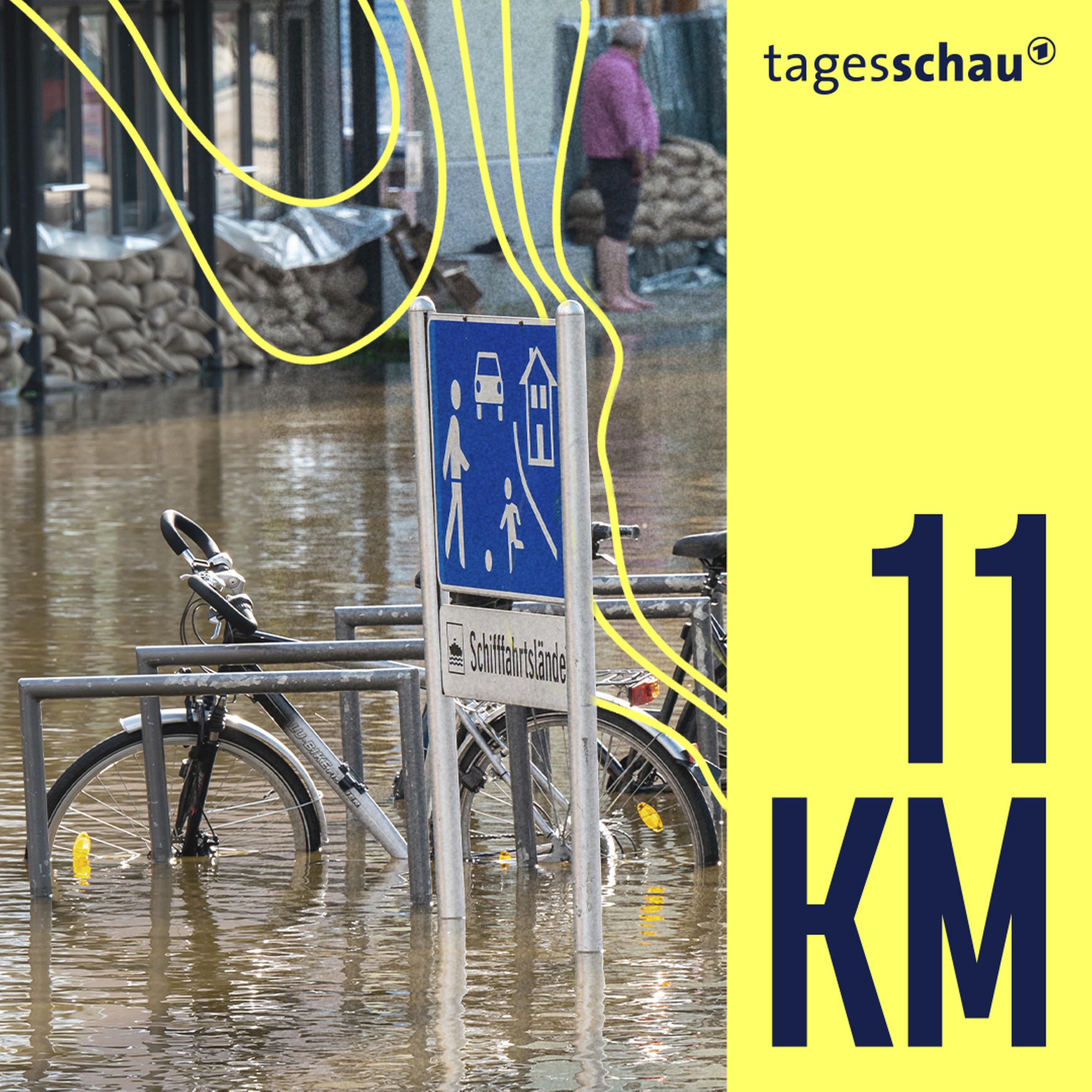 Schutz gegen Hochwasser: Warum Flüsse mehr Platz brauchen