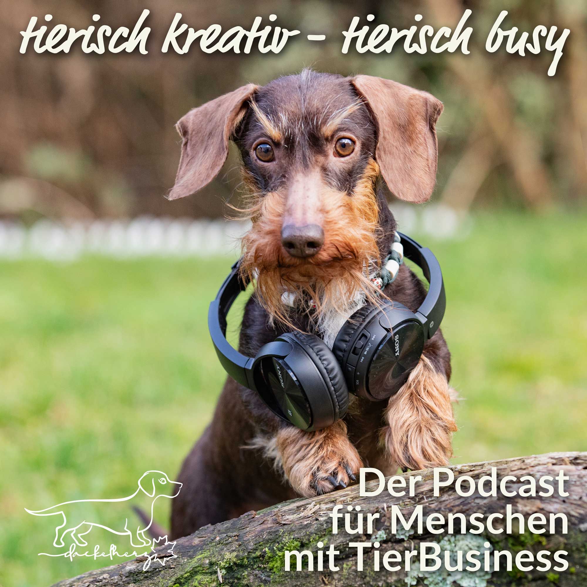#4 - Qualität statt Quantität