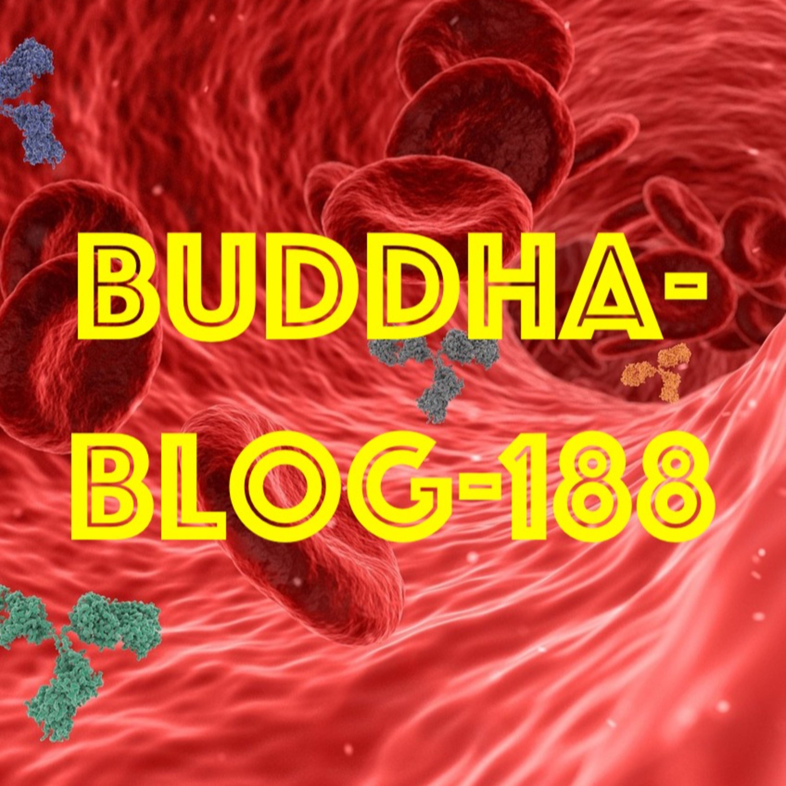 188-Blut und Meerwasser - Buddhismus im Alltag
