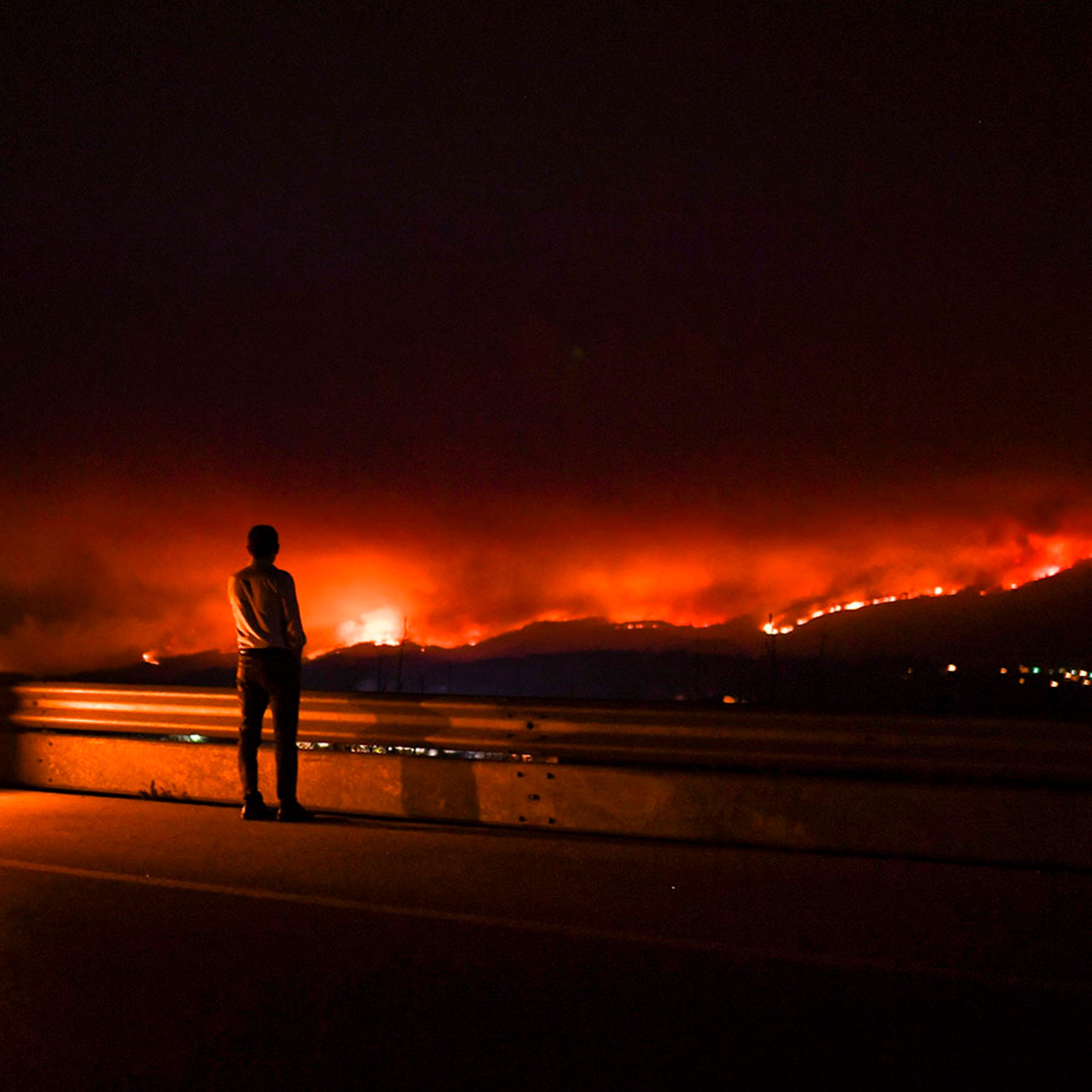 Catastrophic forest fires in Portugal raise wider concerns