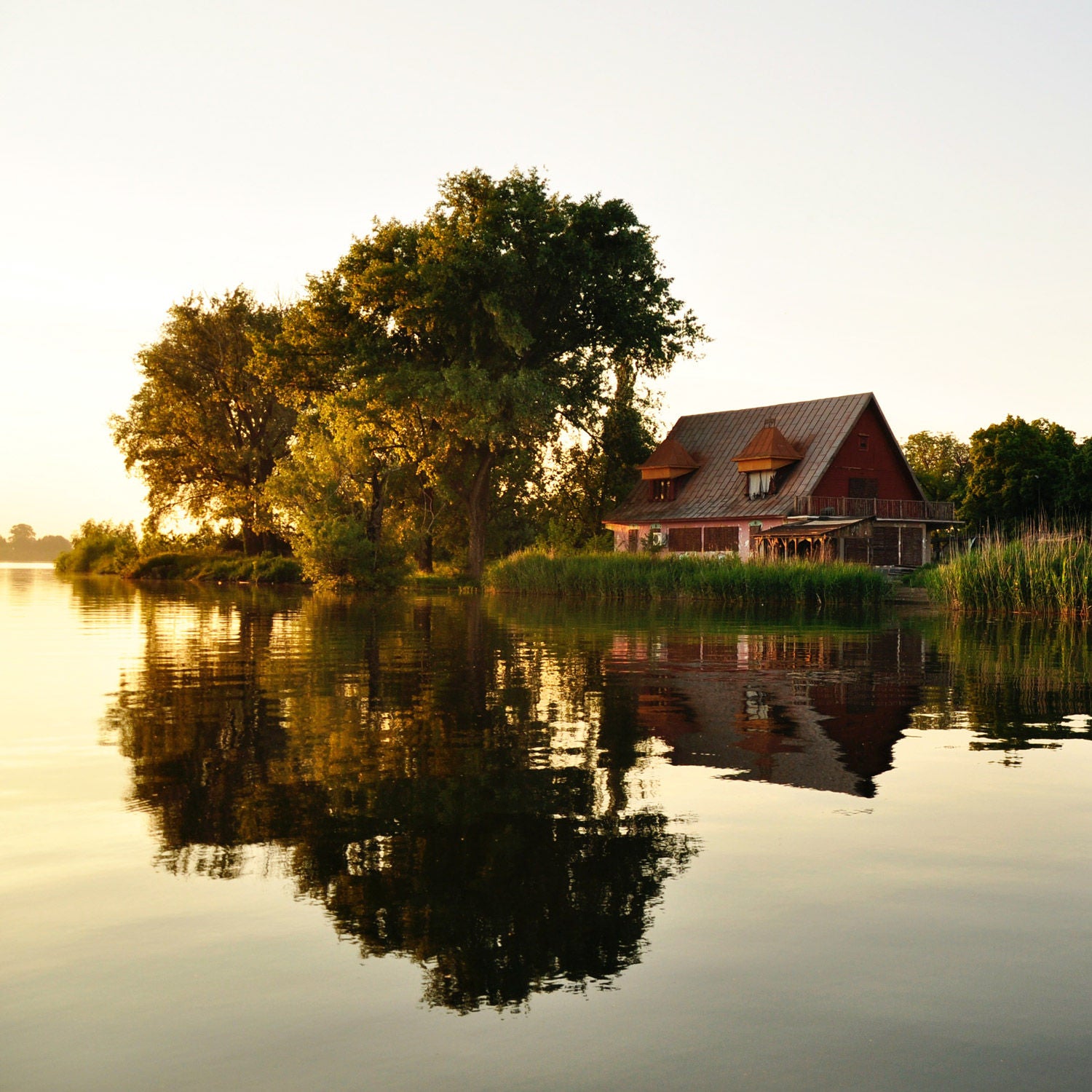Housesitting: Günstig unterkommen und völlig neue Erfahrungen sammeln