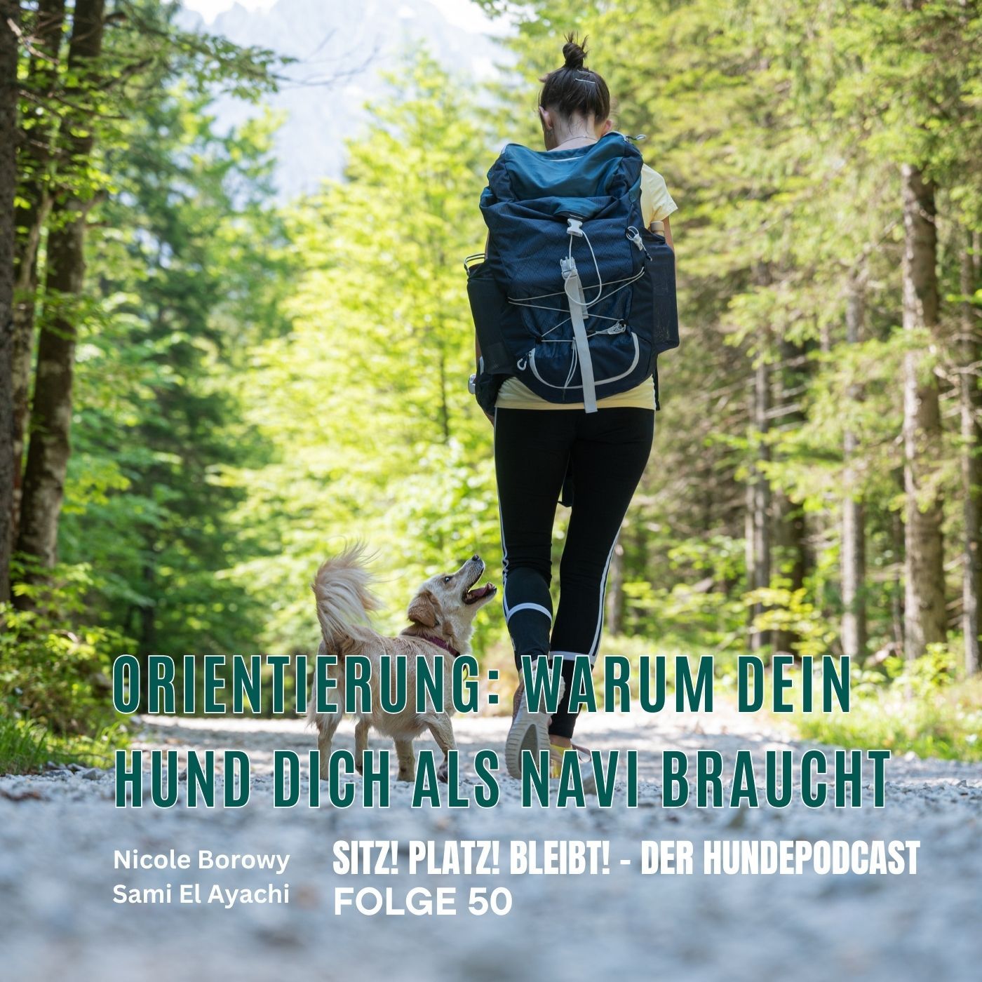 #50 Orientierung: Warum dein Hund dich draußen als Navigationssystem braucht